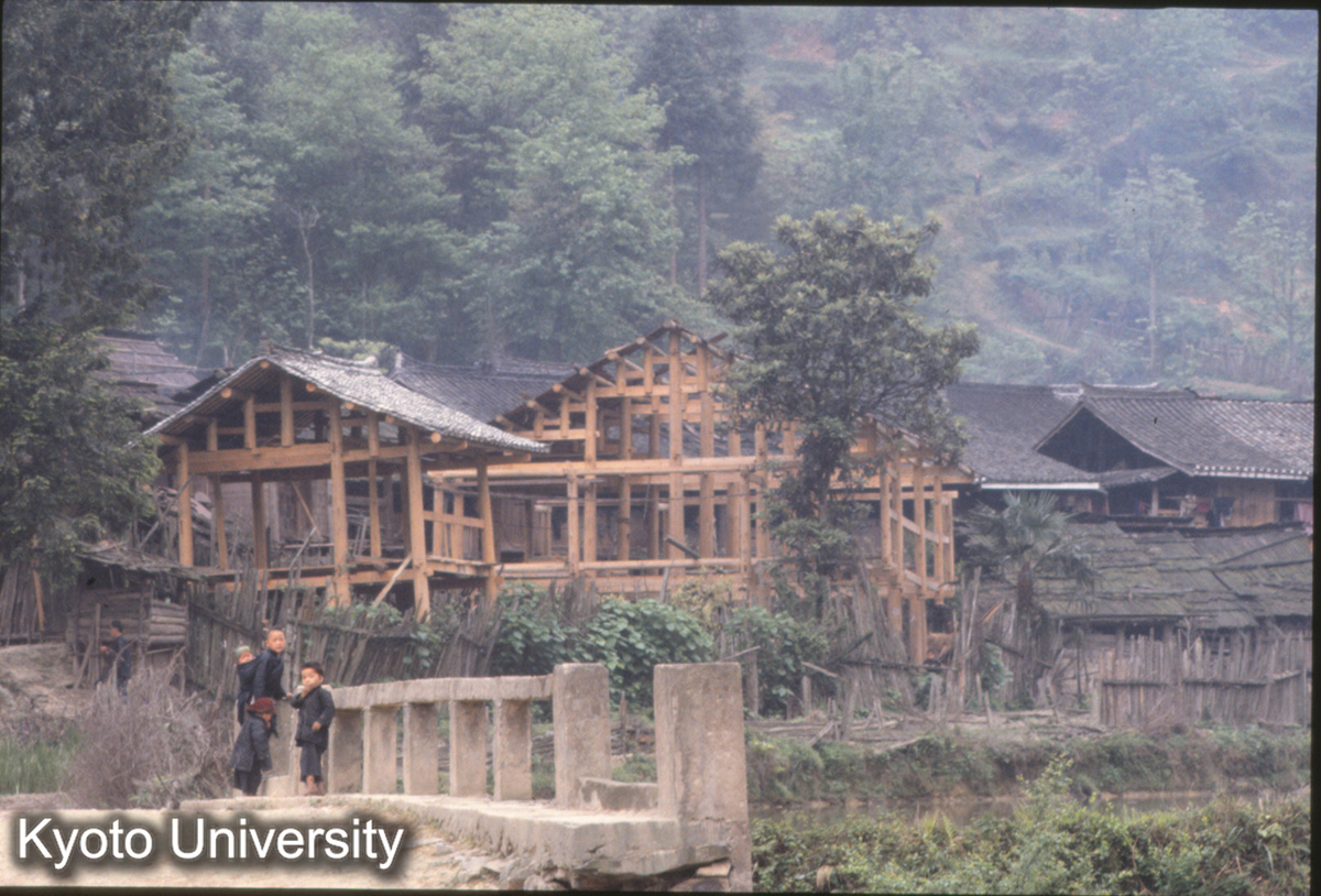 461_新民它苗 (1)