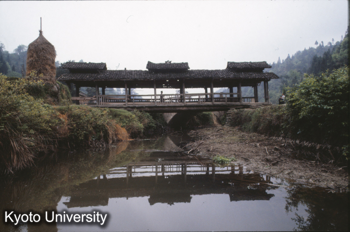 467_小風雨橋 新民它苗 (1)