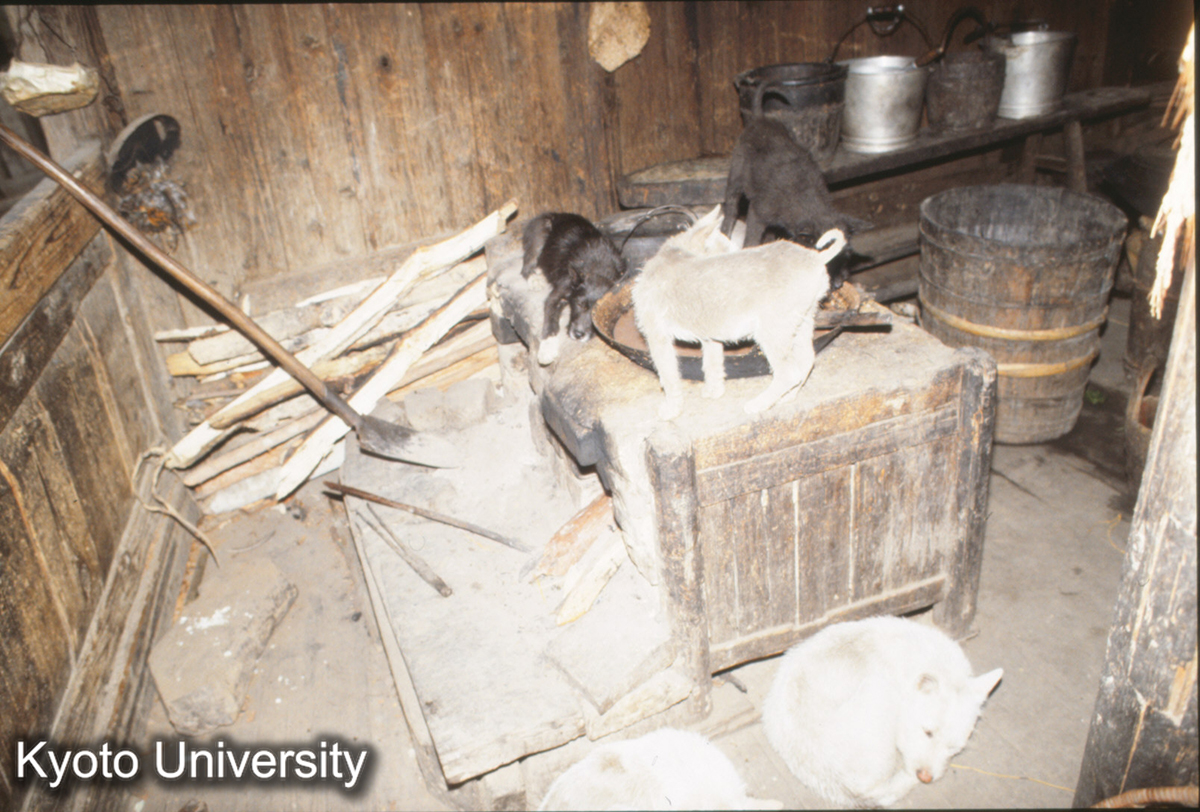 609_増衝 侗 カマド 道光 (1)