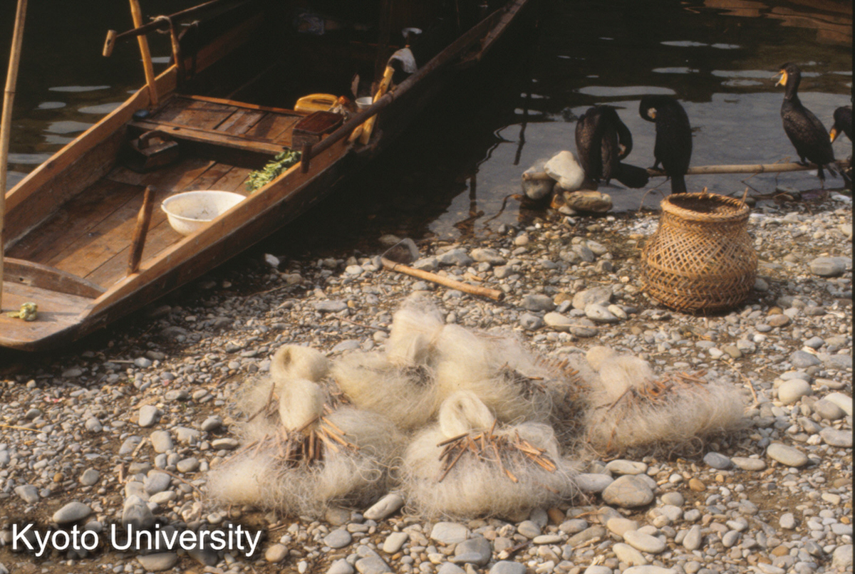 645_下江 漁船 (1)