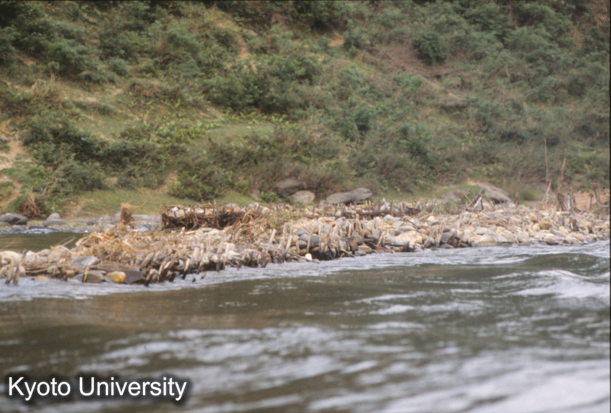 781_分水塘 都柳江 (1)