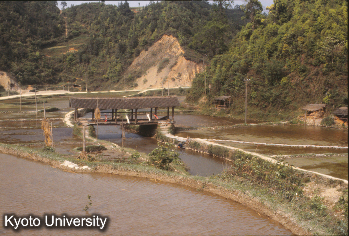 941_茅貢青寨 風雨橋 (1)