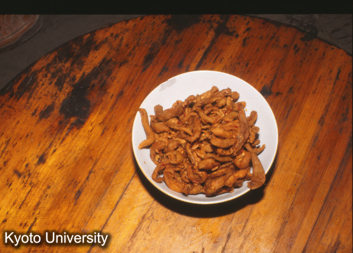 965_酸蘿蔔肇興 (1)