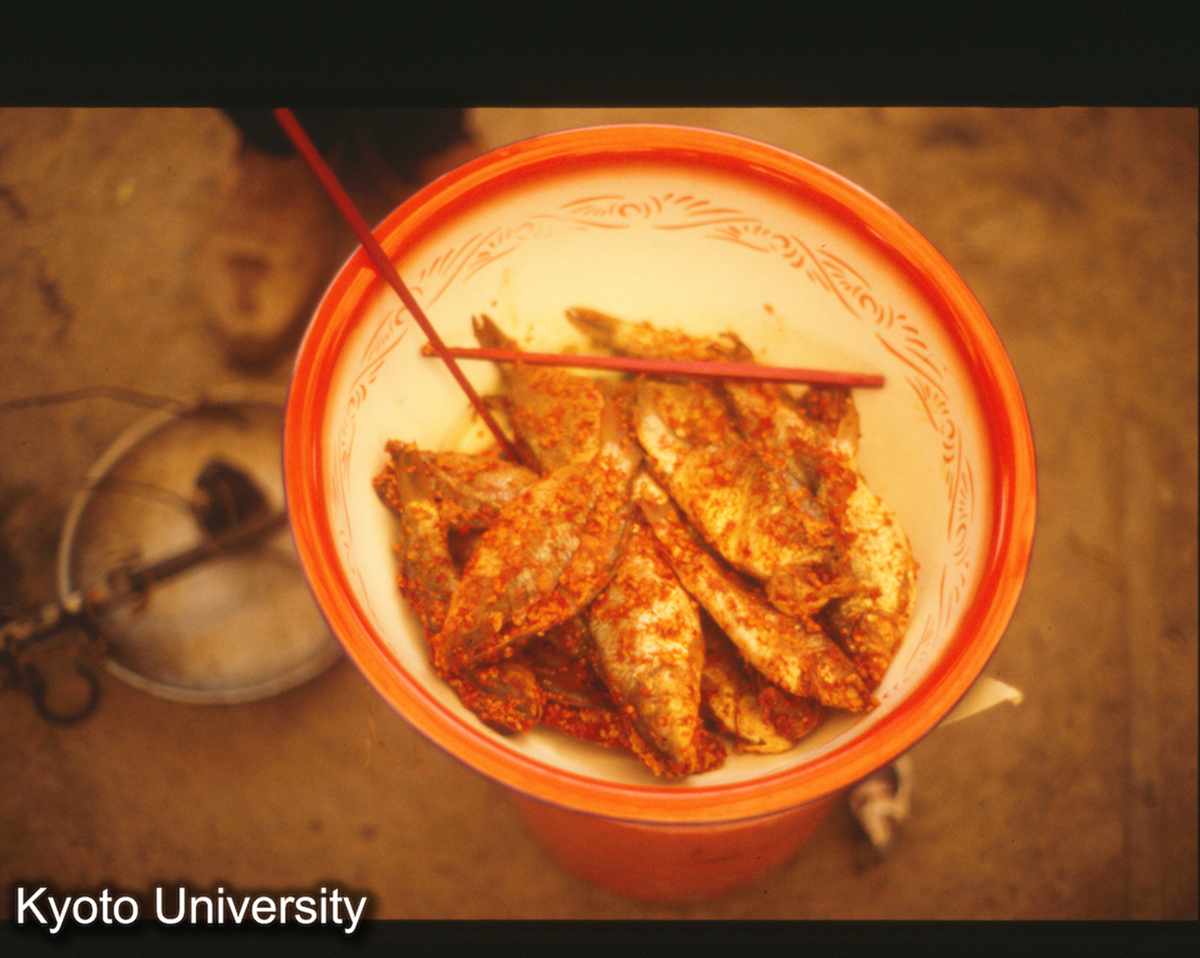 1054_錦屏県城 市場 ナレズシ (1)