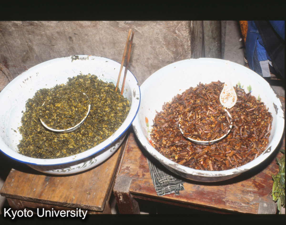 1058_タカナ、ワラビ漬物 錦屏 (1)