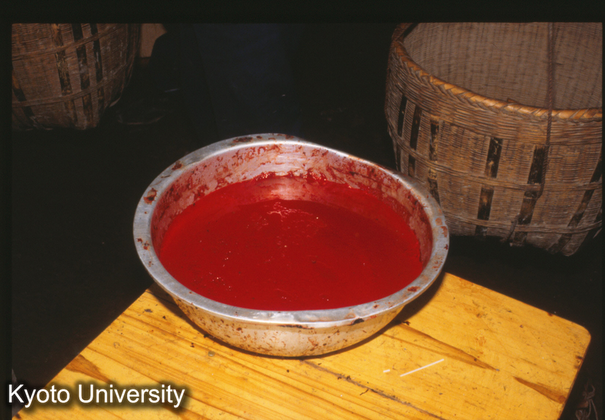 1072_猪血 錦屏 (1)