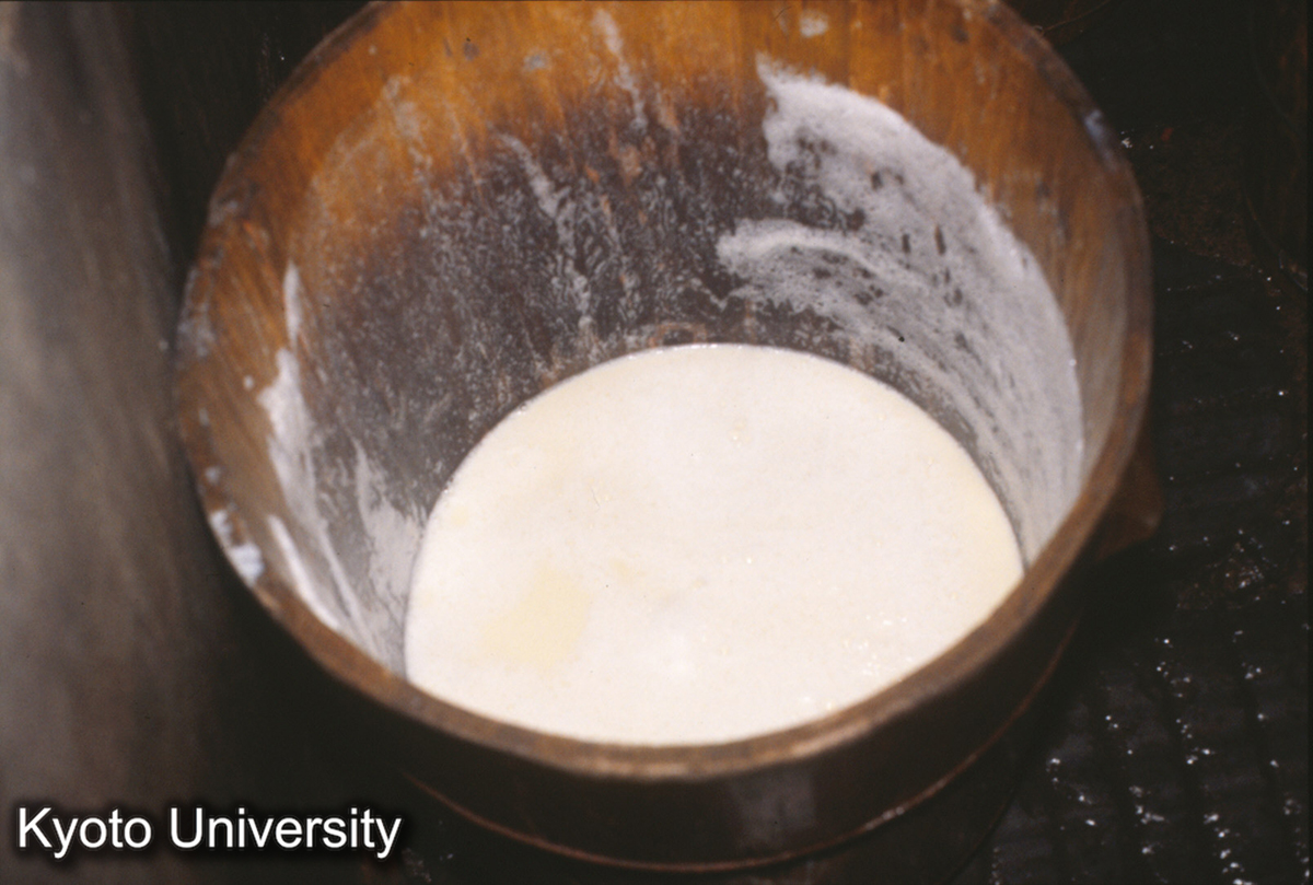 1102_豆付つくり 錦屏大同 (1)