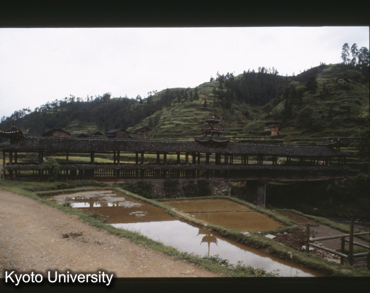 1141_錦屏県者蒙鎮 侗 (1)