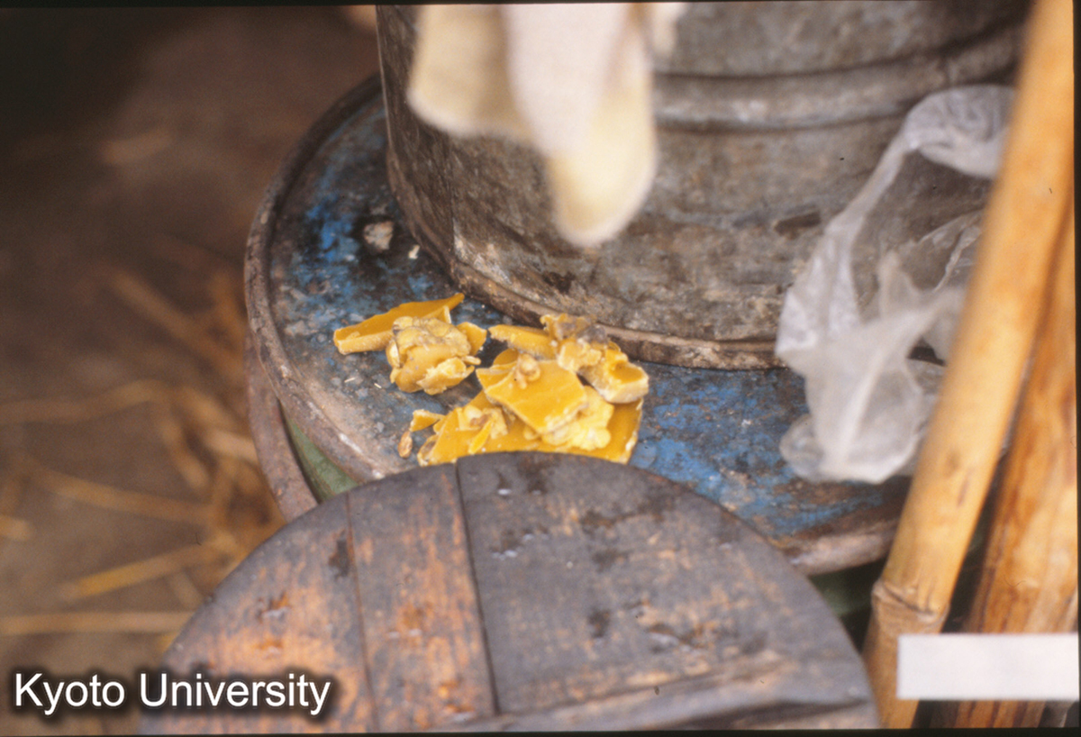 1420_蜜蝋 炉山 (1)