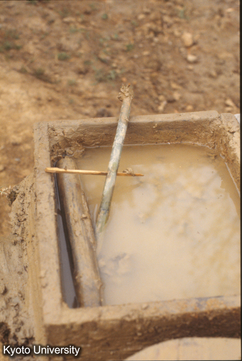 1428_福泉 水槽 (1)