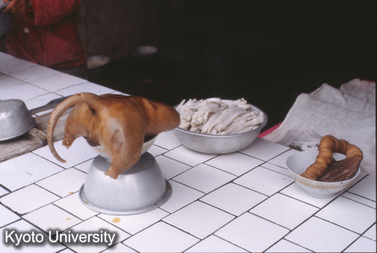 1490_貴定県盤江区 狗肉店 (1)