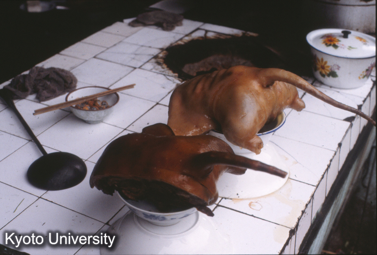 1495_狗肉 貴定県盤江 (1)