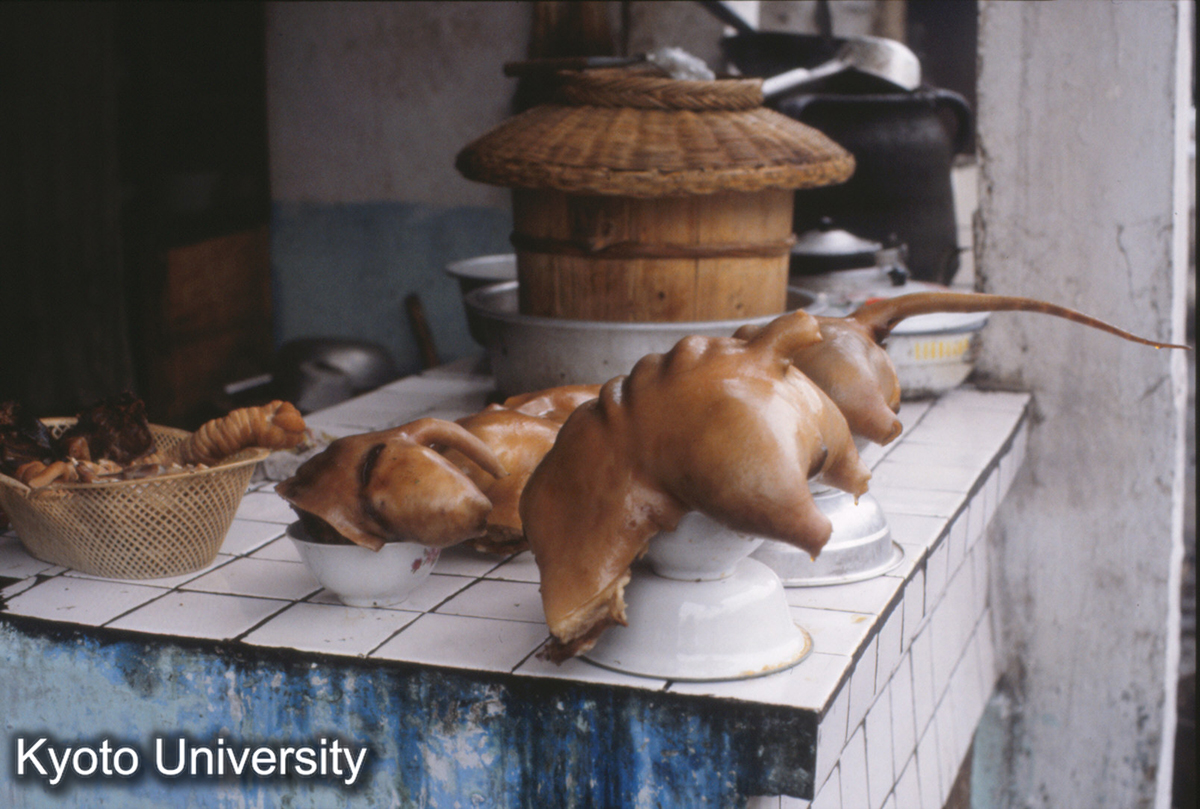 1497_狗肉 貴定盤江 (1)