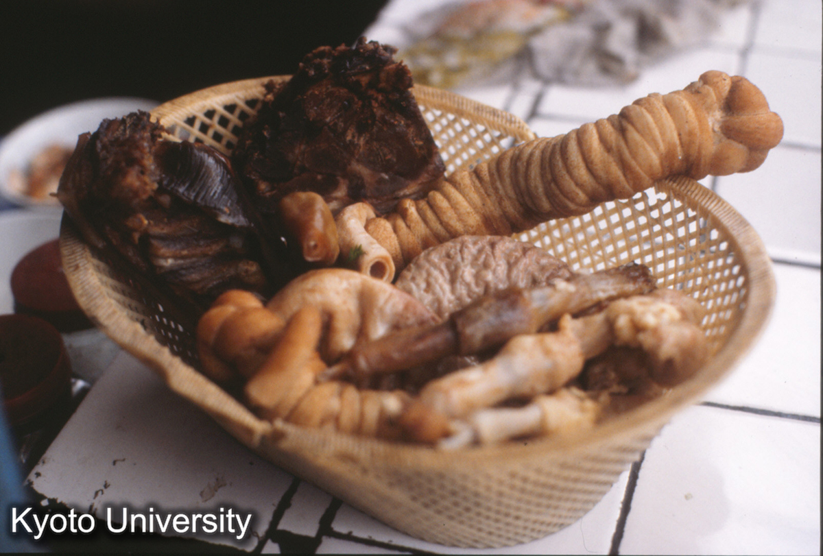 1498_狗肉 貴定 (1)