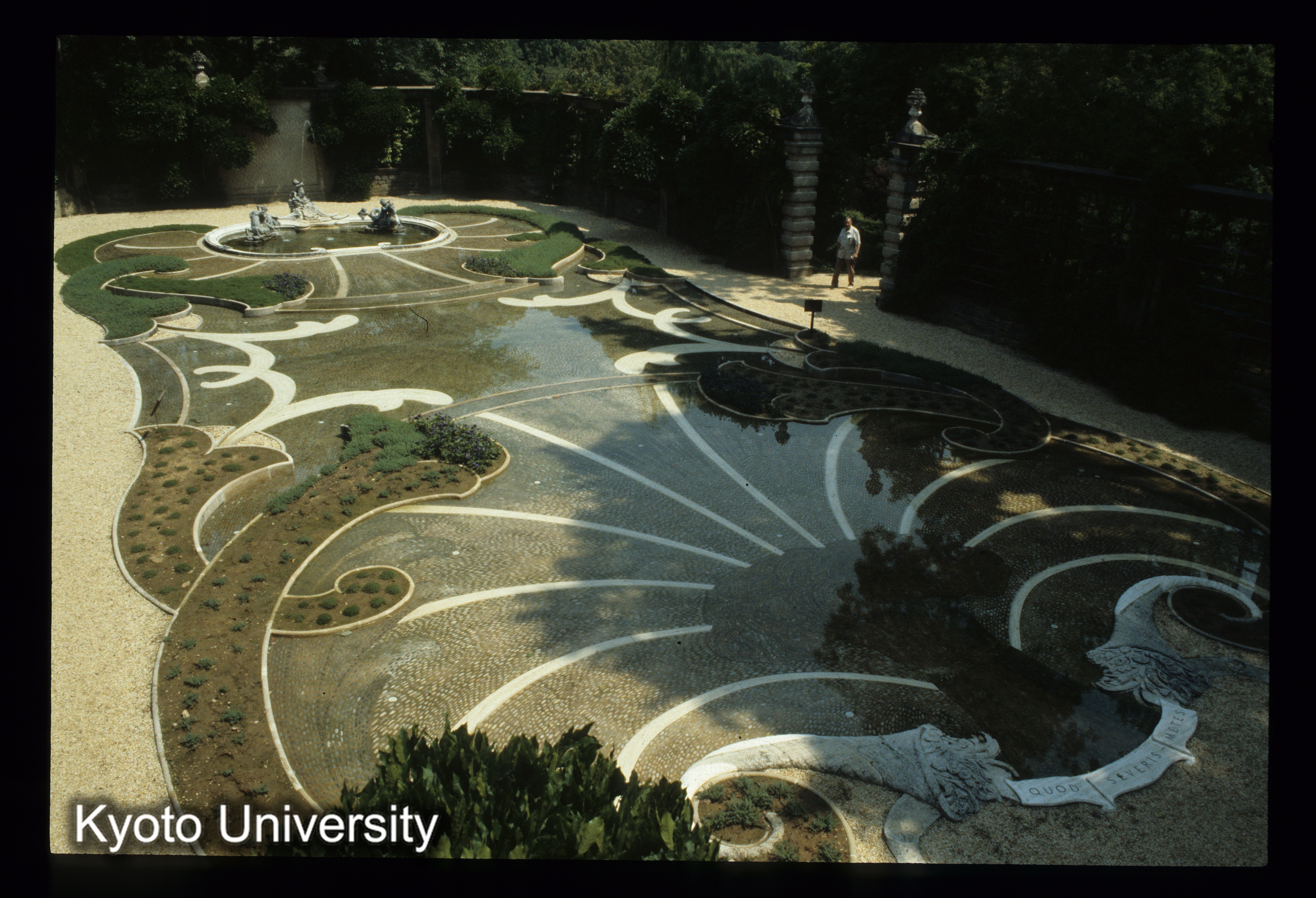 ［スライド］ (1)