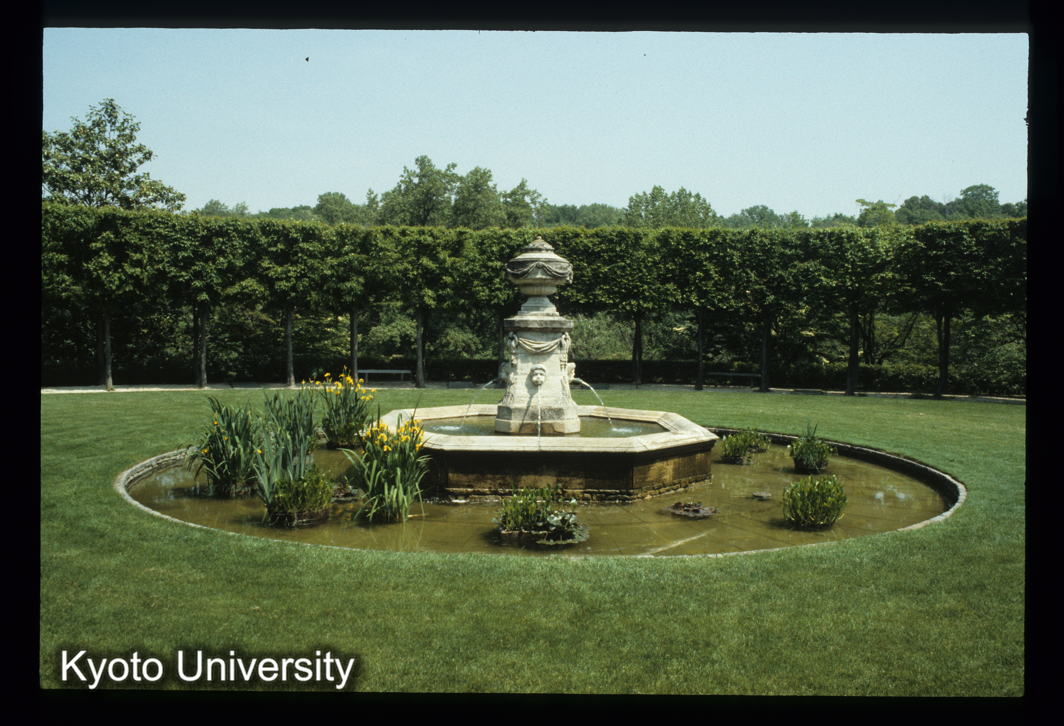 ［スライド］ (1)