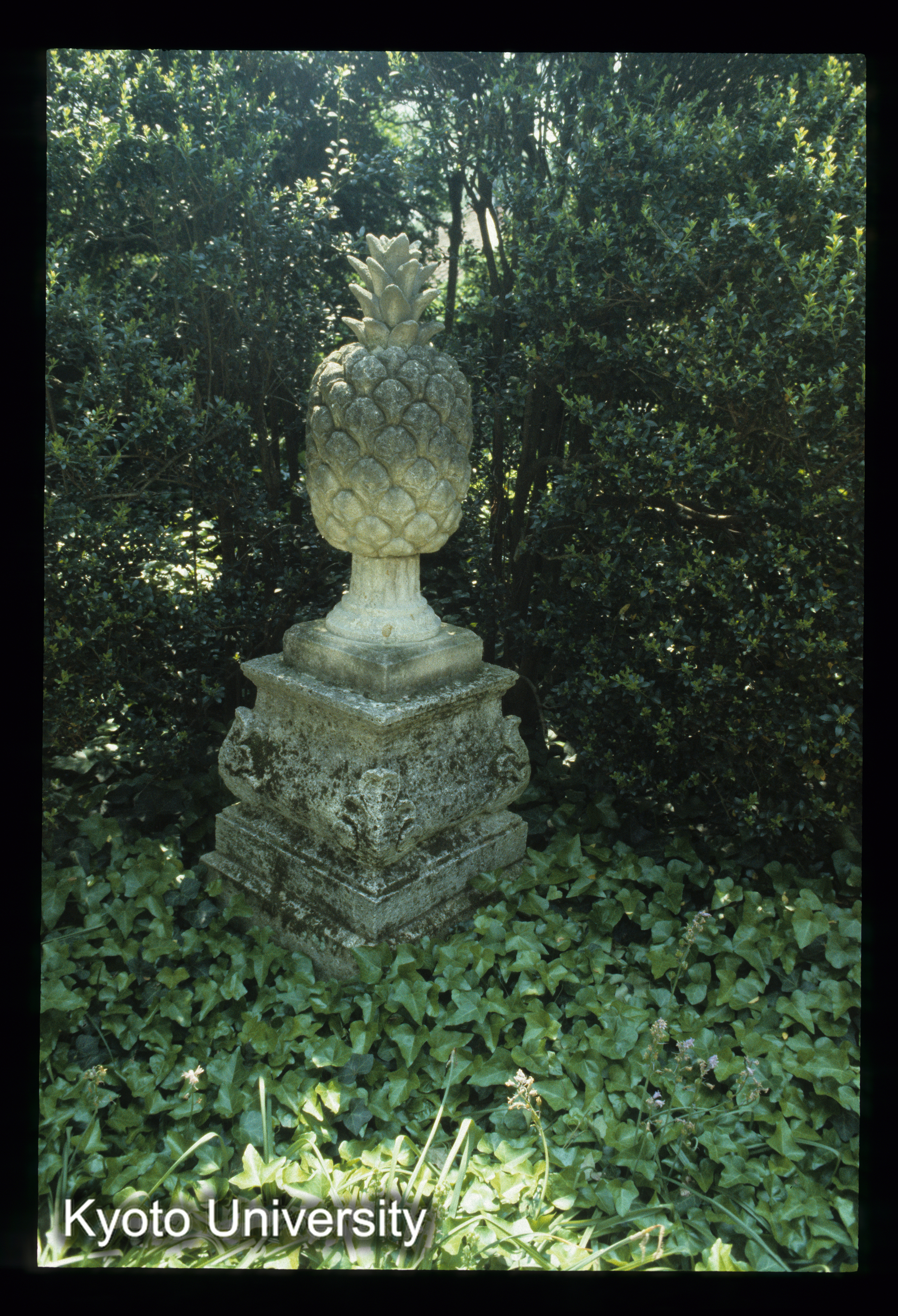 ［スライド］ (1)