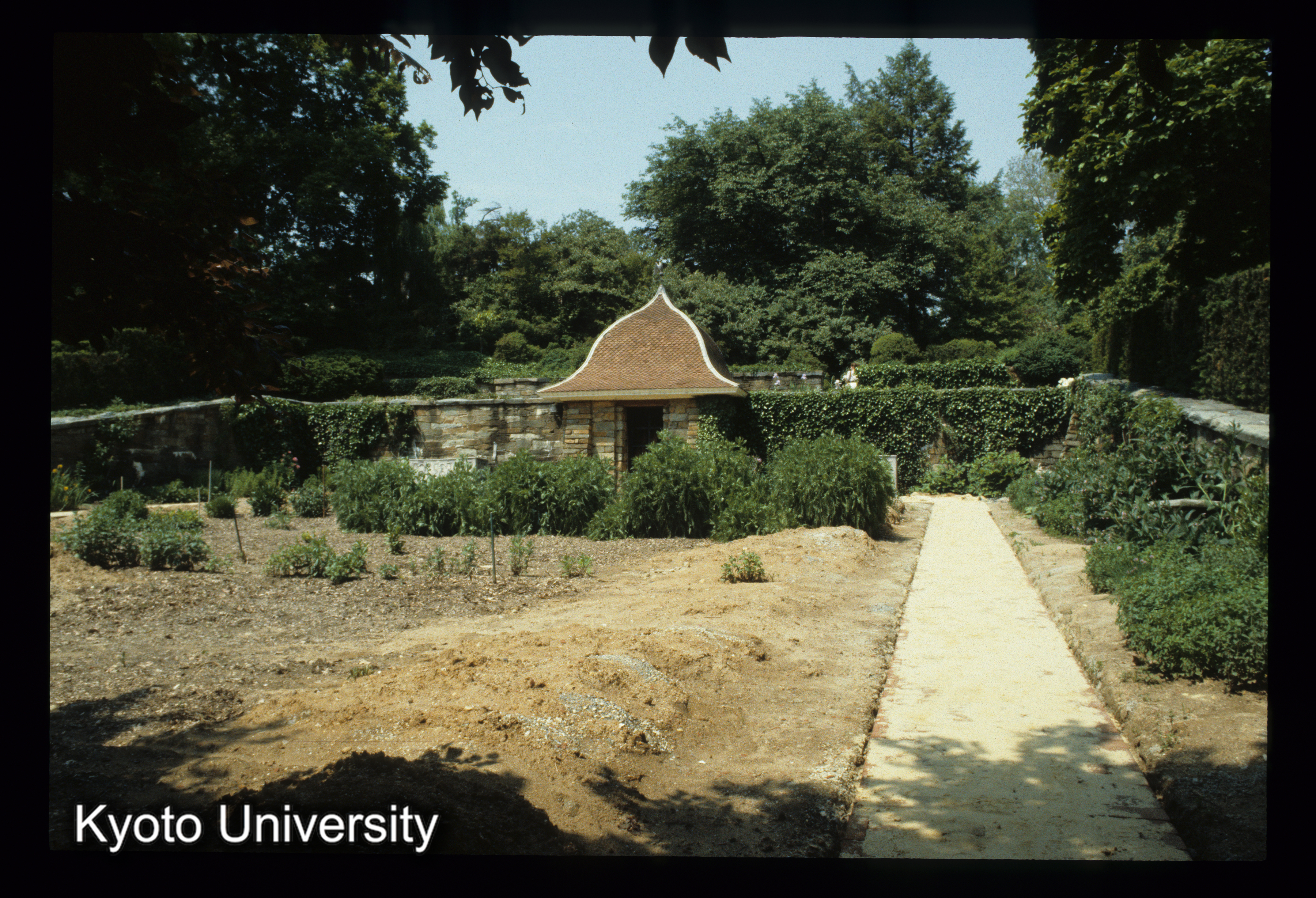 ［スライド］ (1)