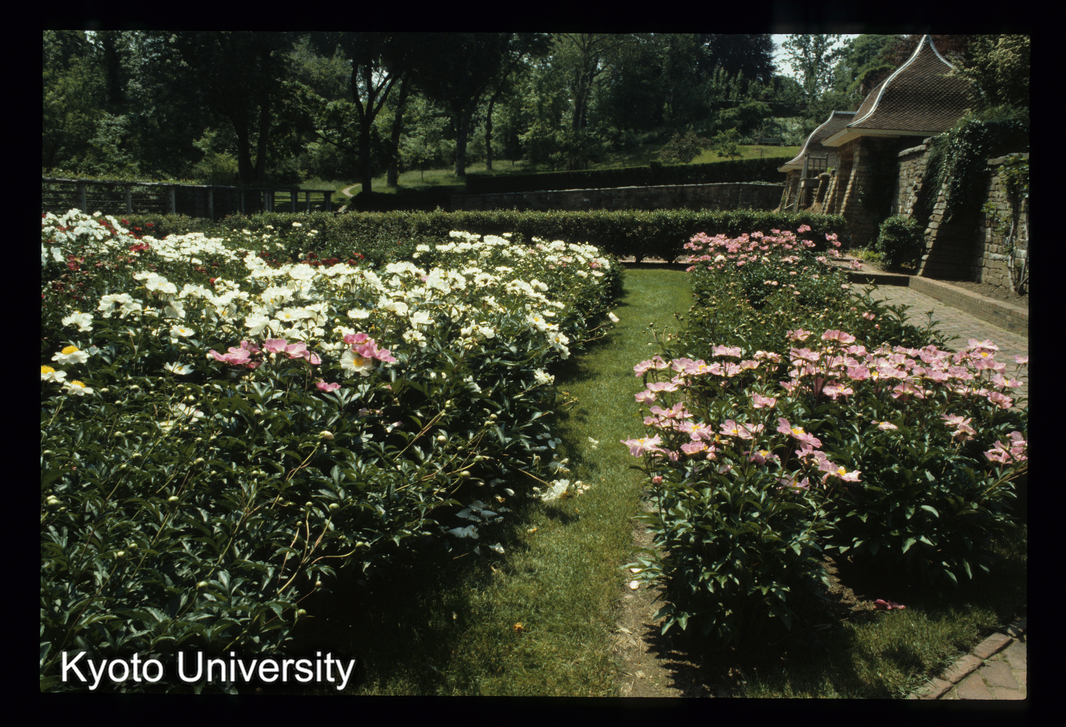 ［スライド］ (1)