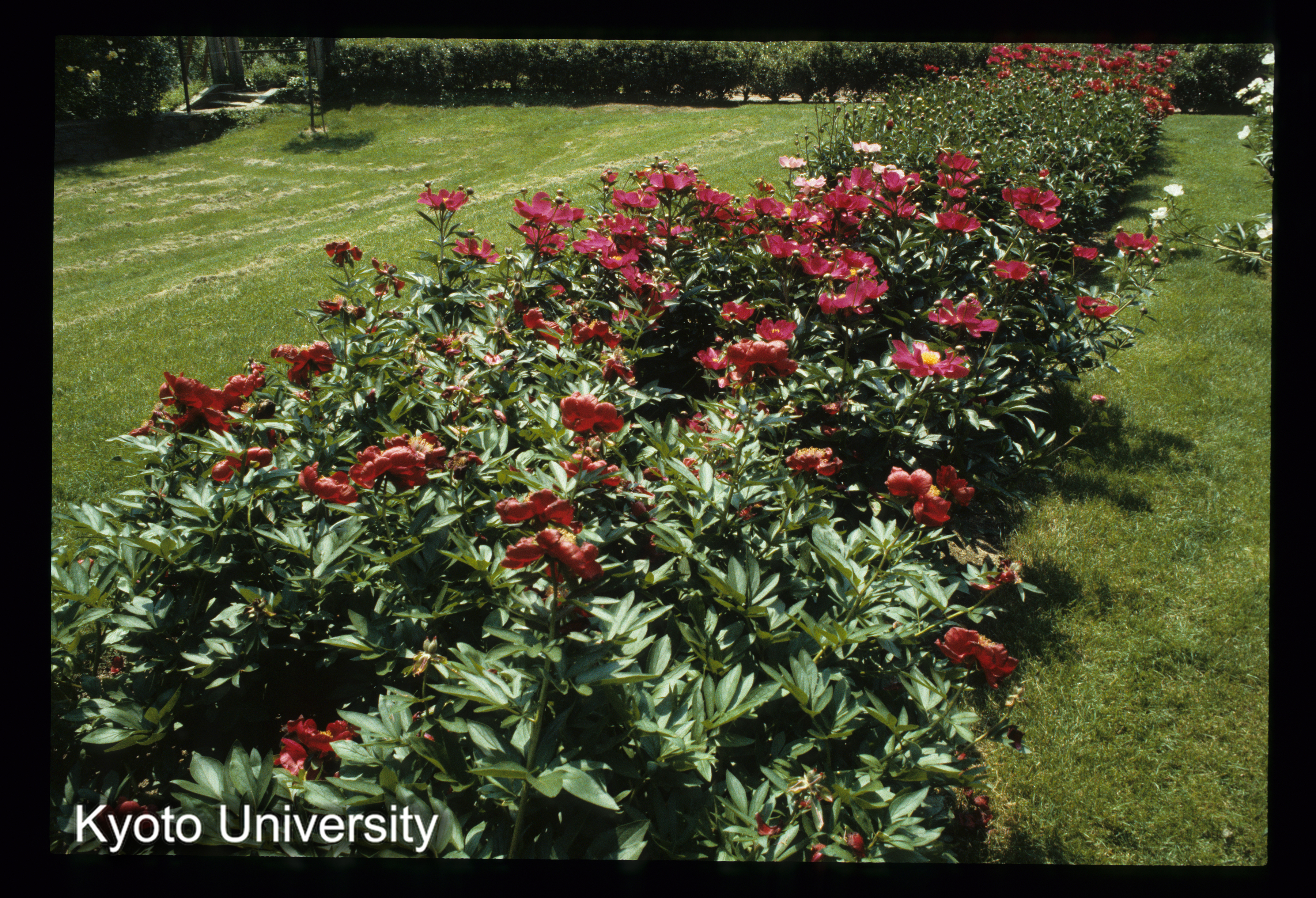 ［スライド］ (1)