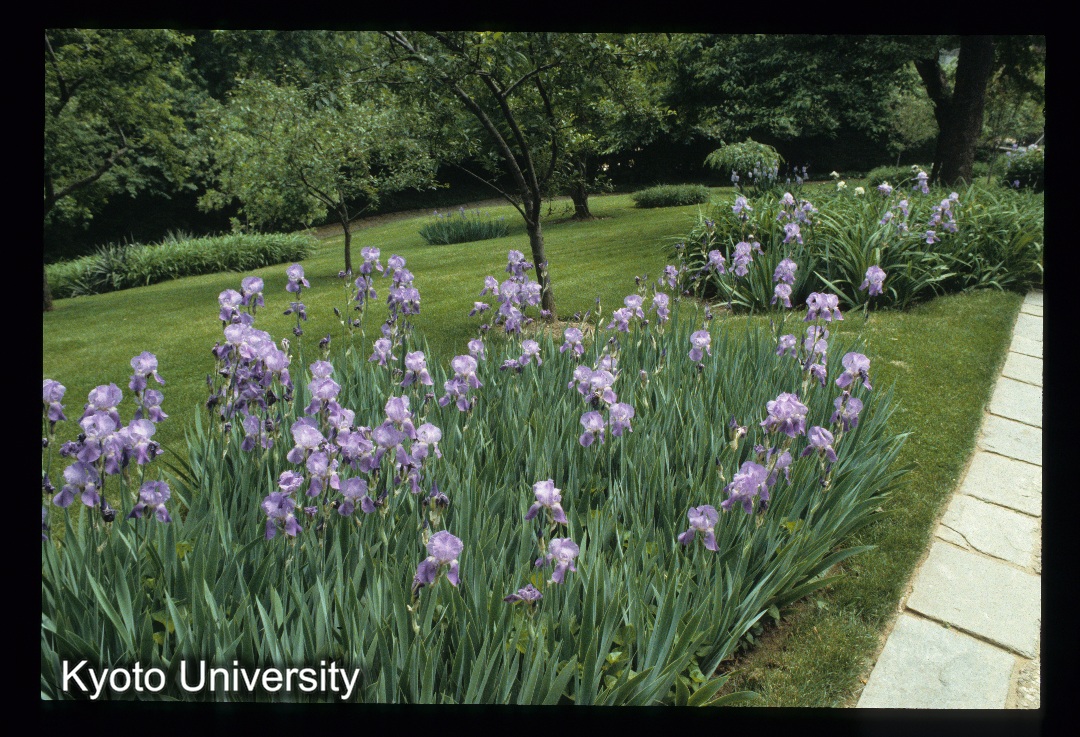 ［スライド］ (1)