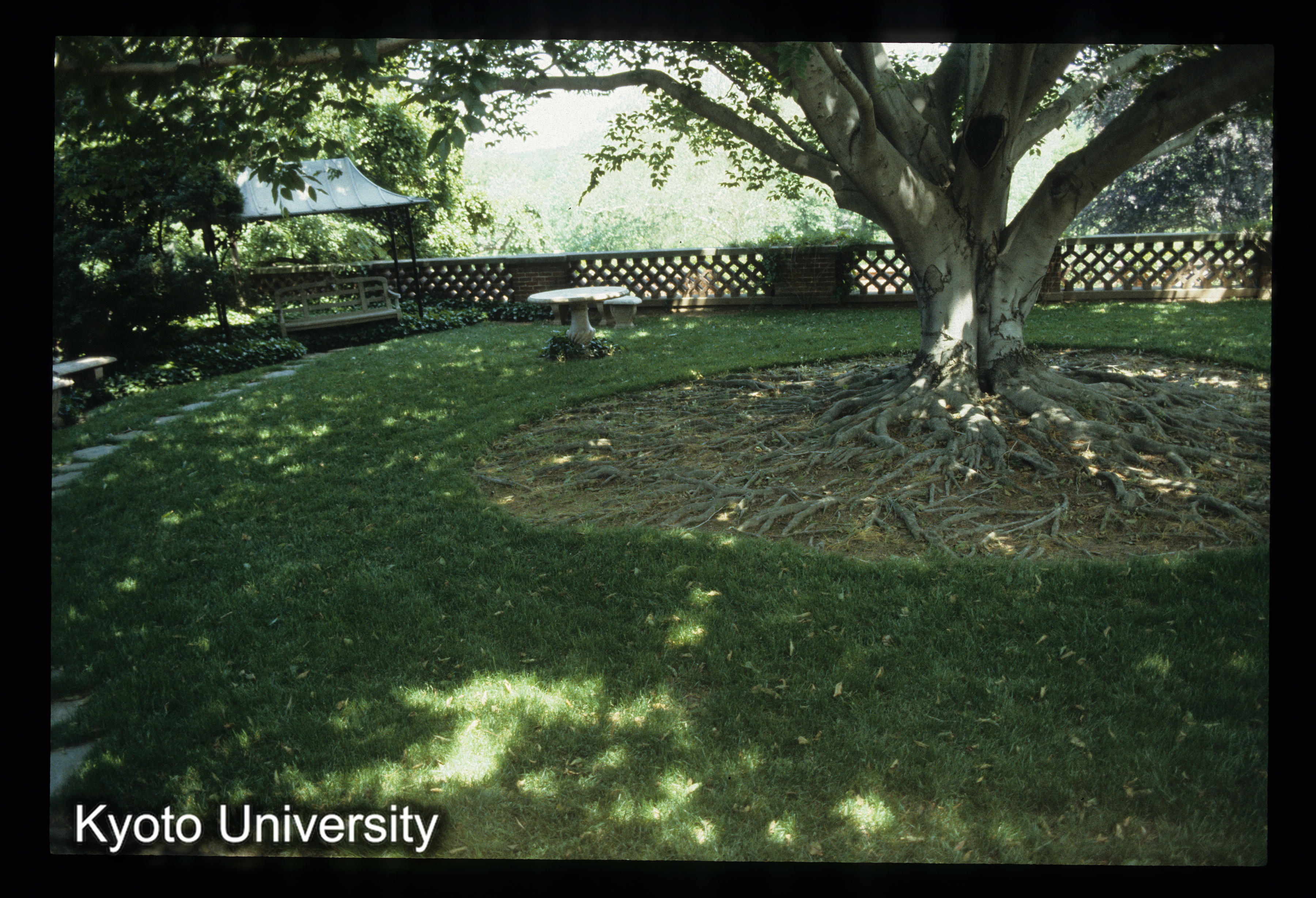 ［スライド］ (1)