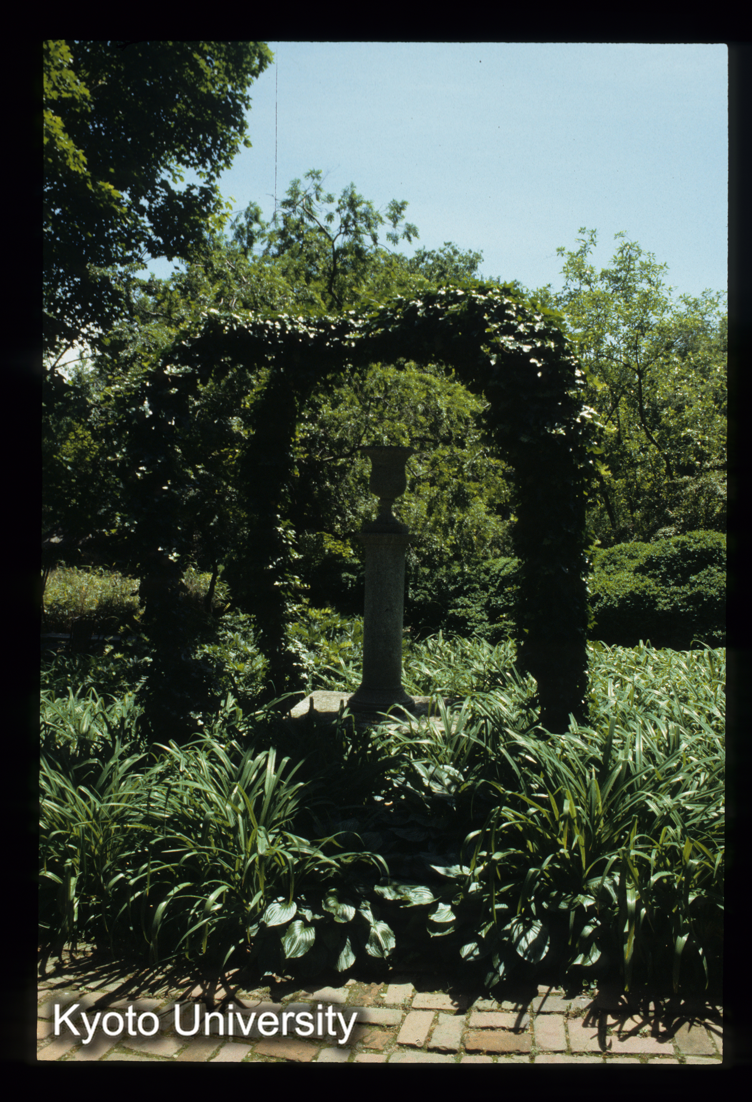 ［スライド］ (1)