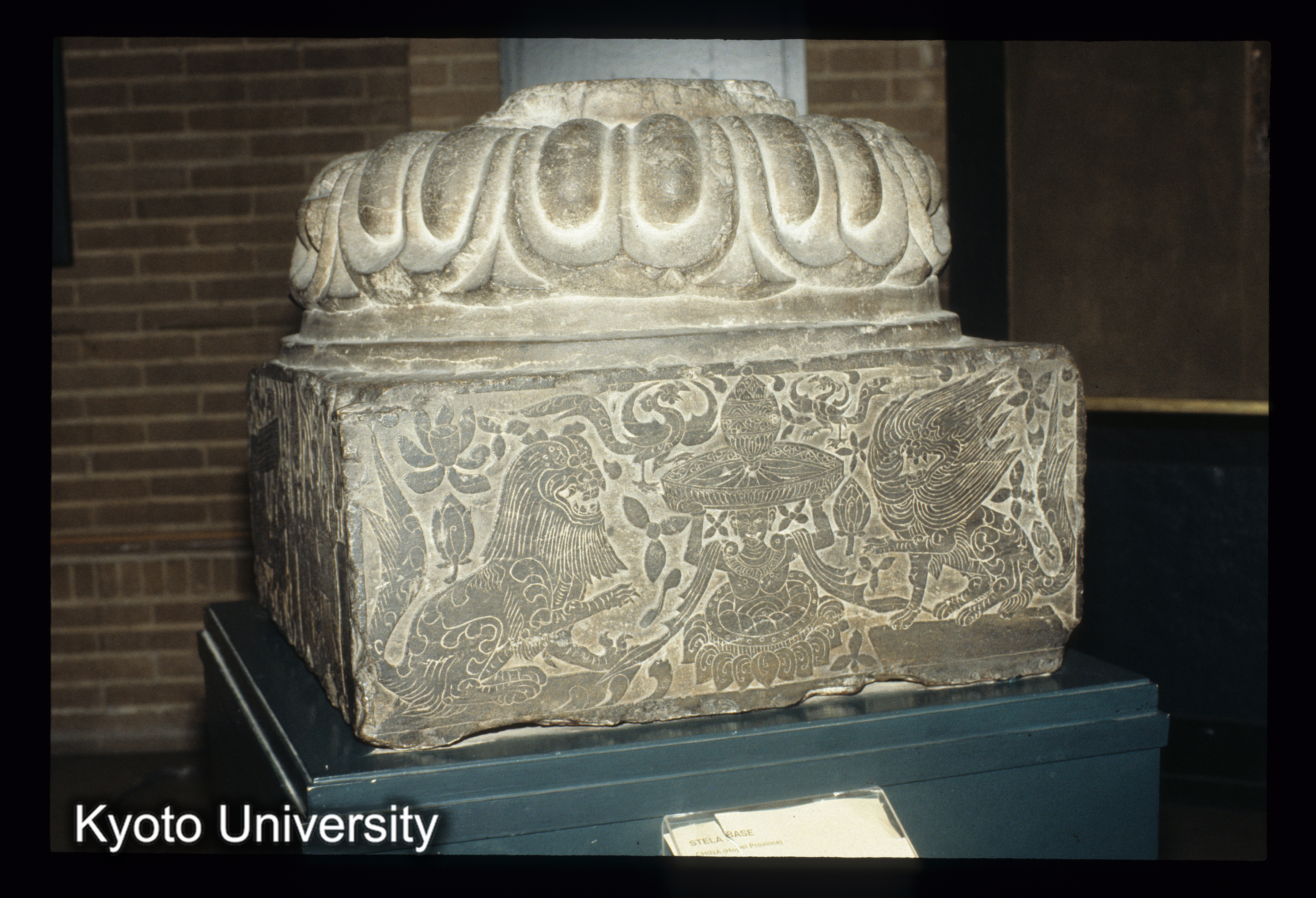 ［スライド］ (1)