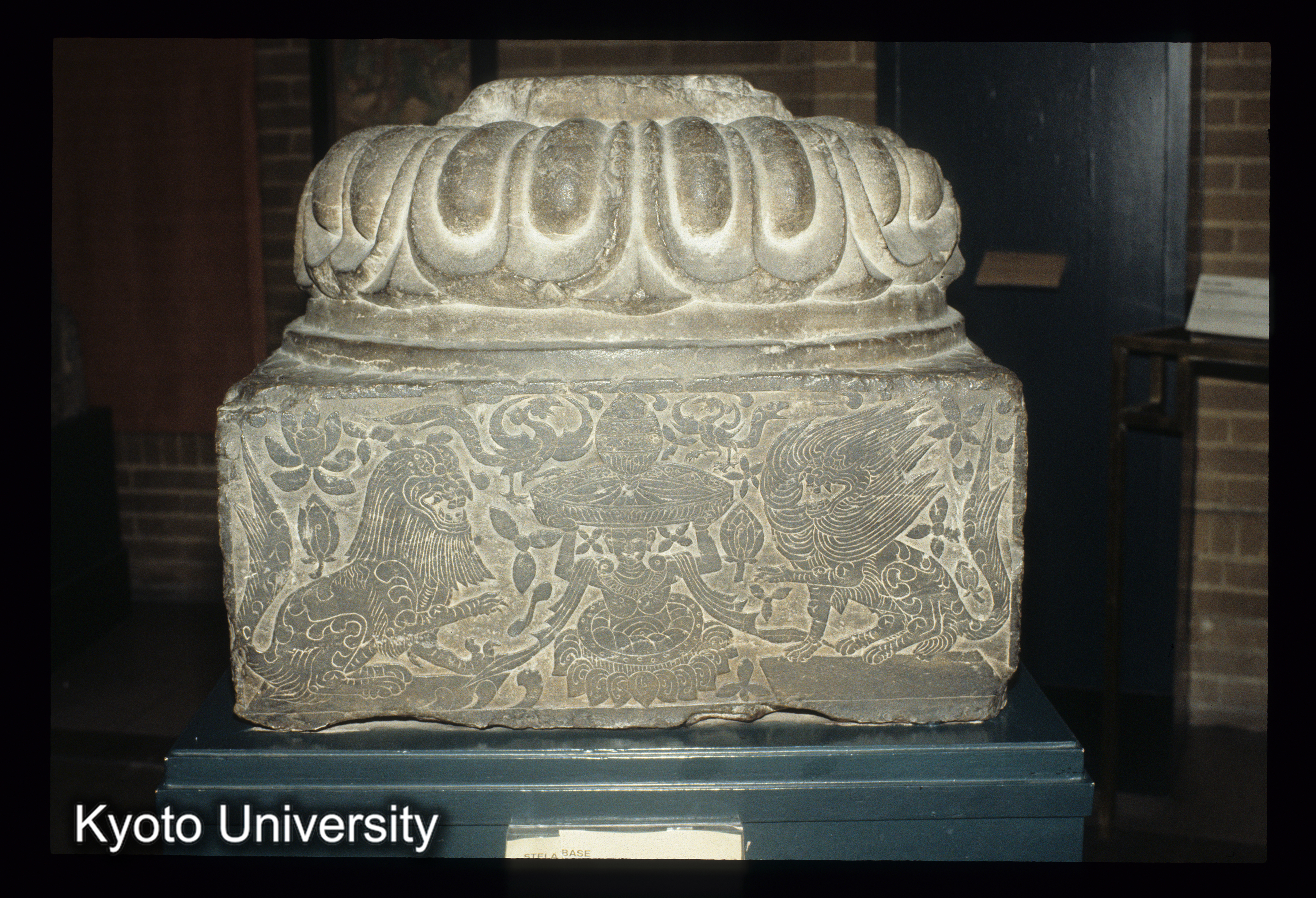 ［スライド］ (1)