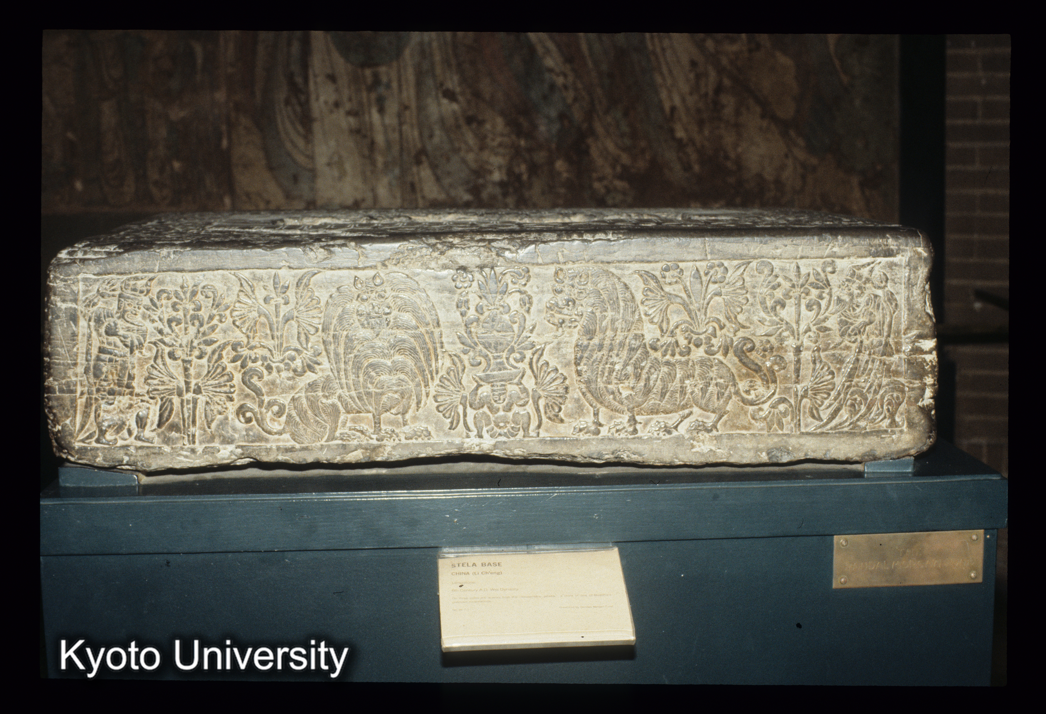 ［スライド］ (1)