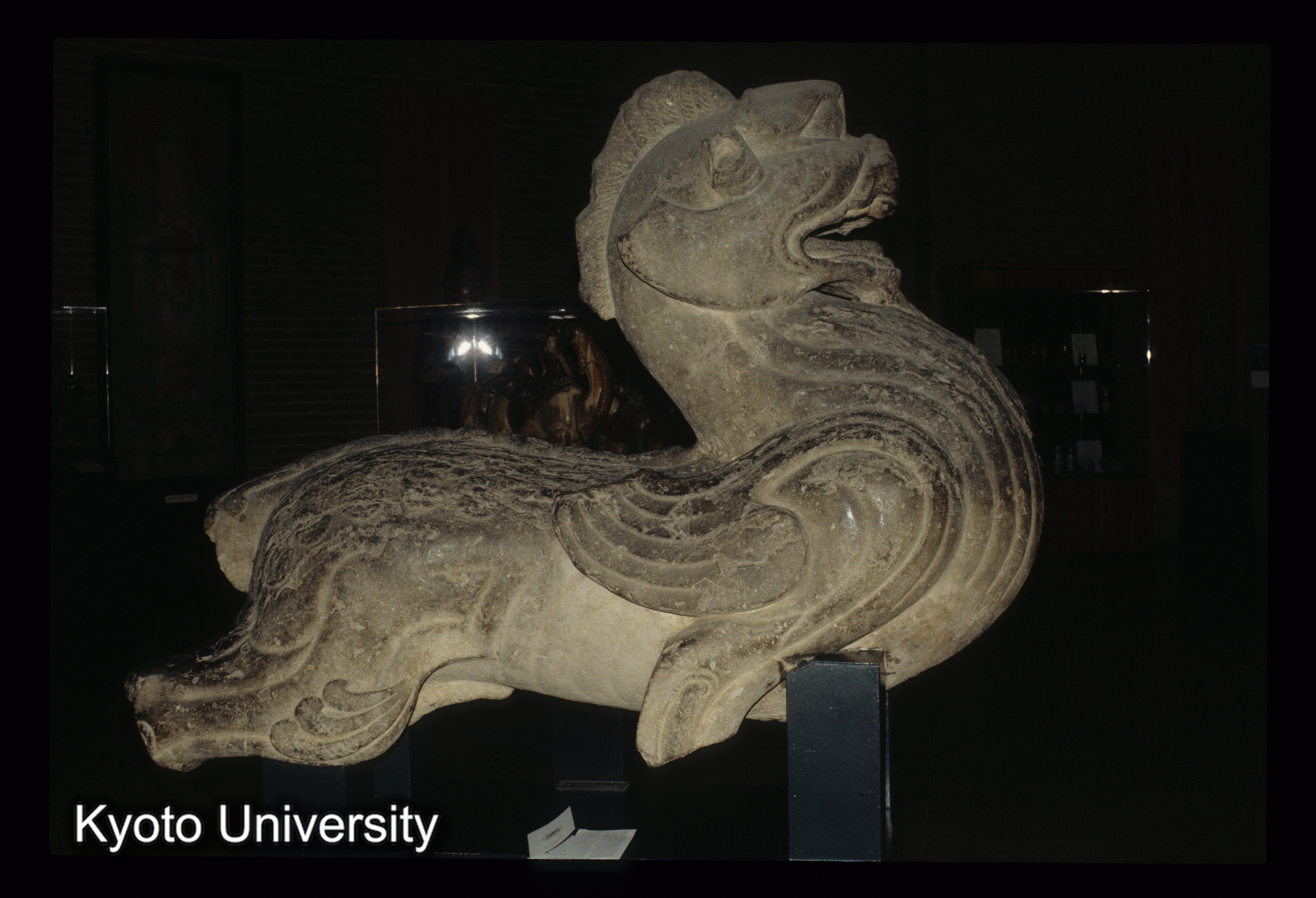 ［スライド］ (1)