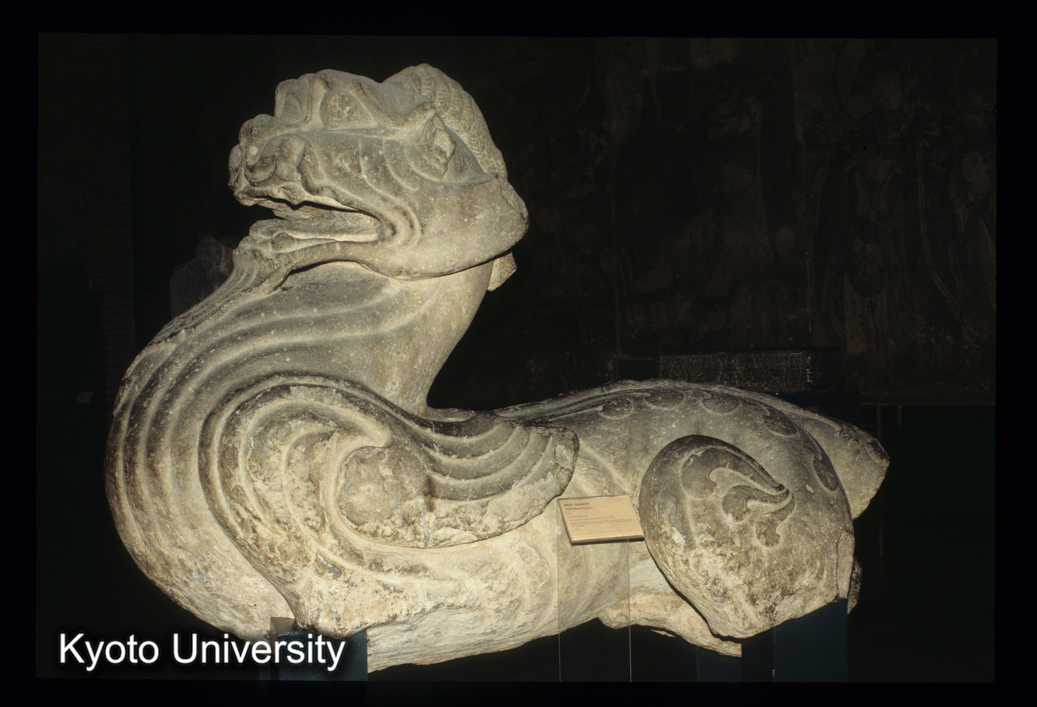 ［スライド］ (1)