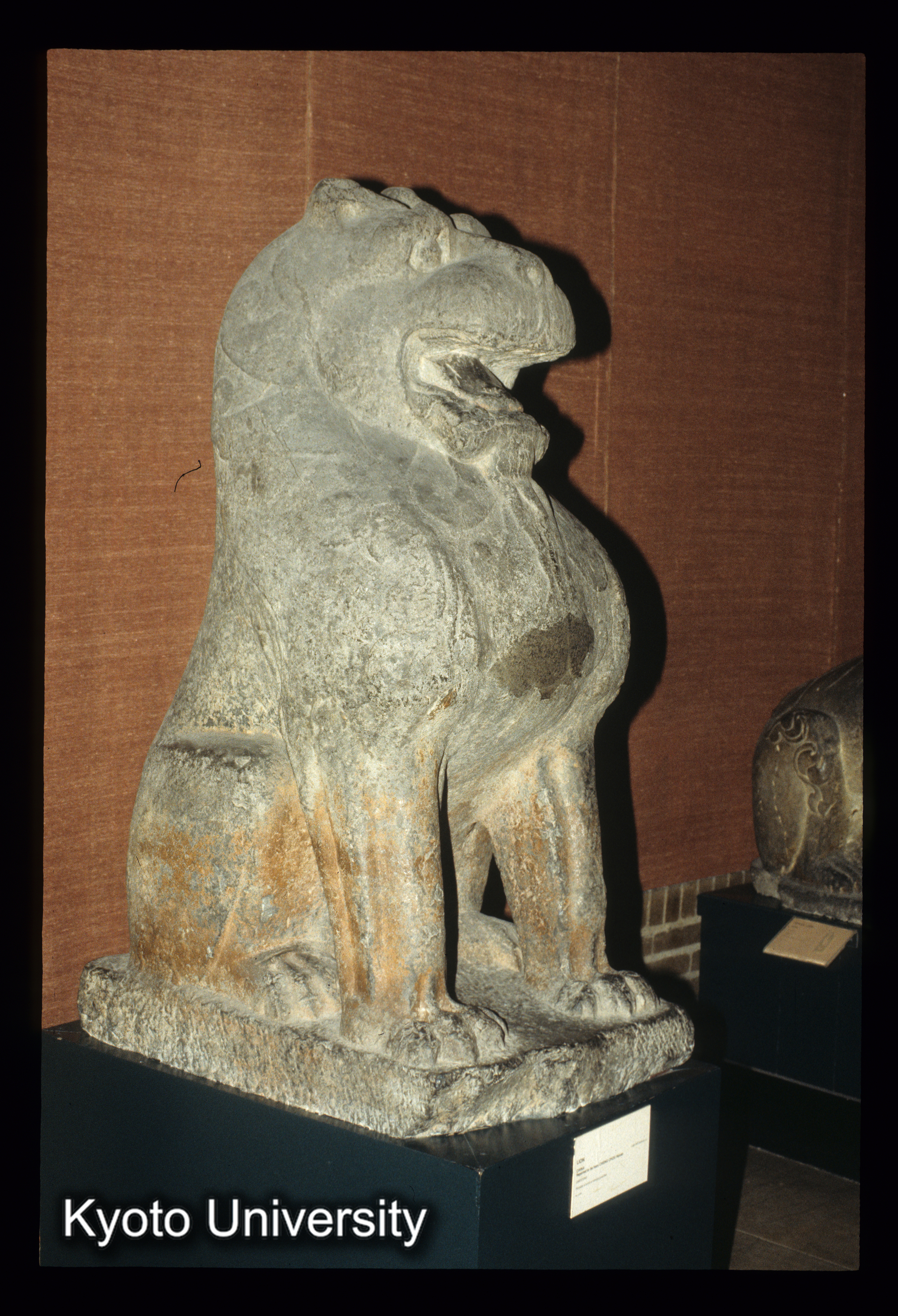 ［スライド］ (1)