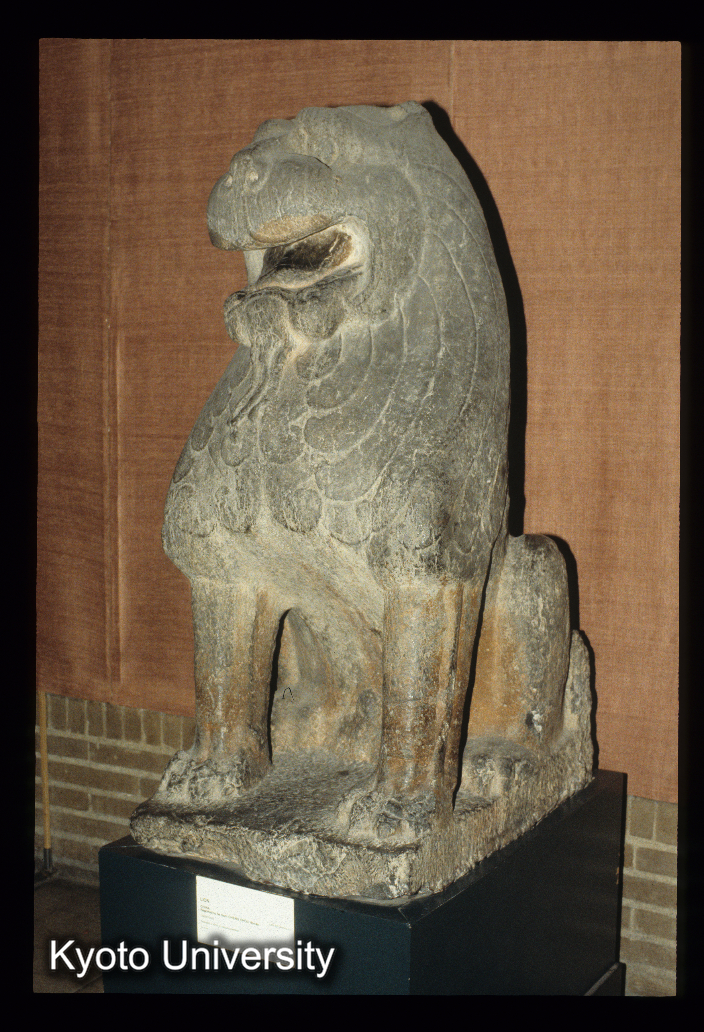 ［スライド］ (1)