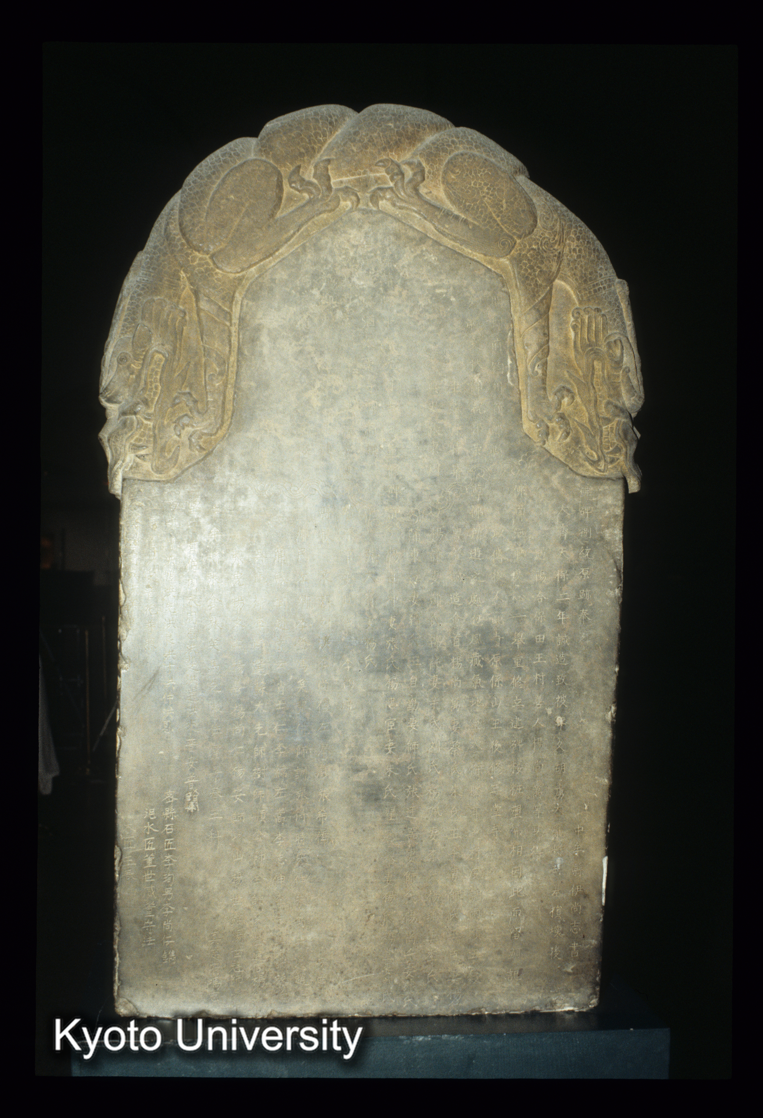 ［スライド］ (1)