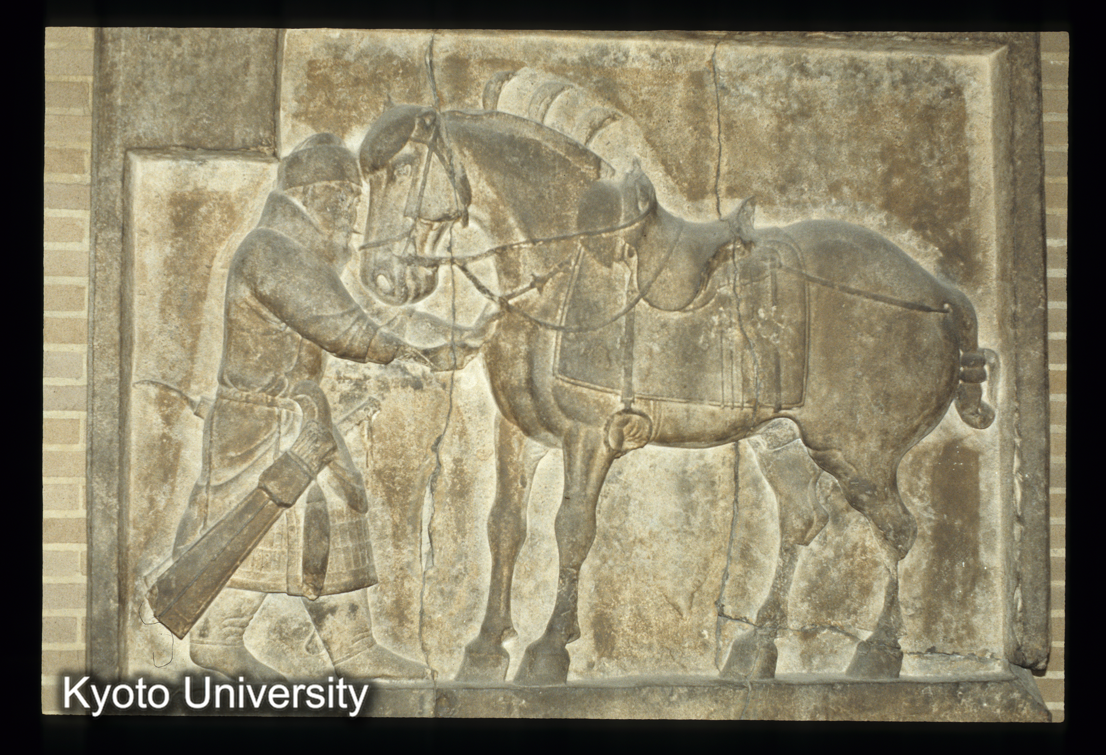 ［スライド］ (1)