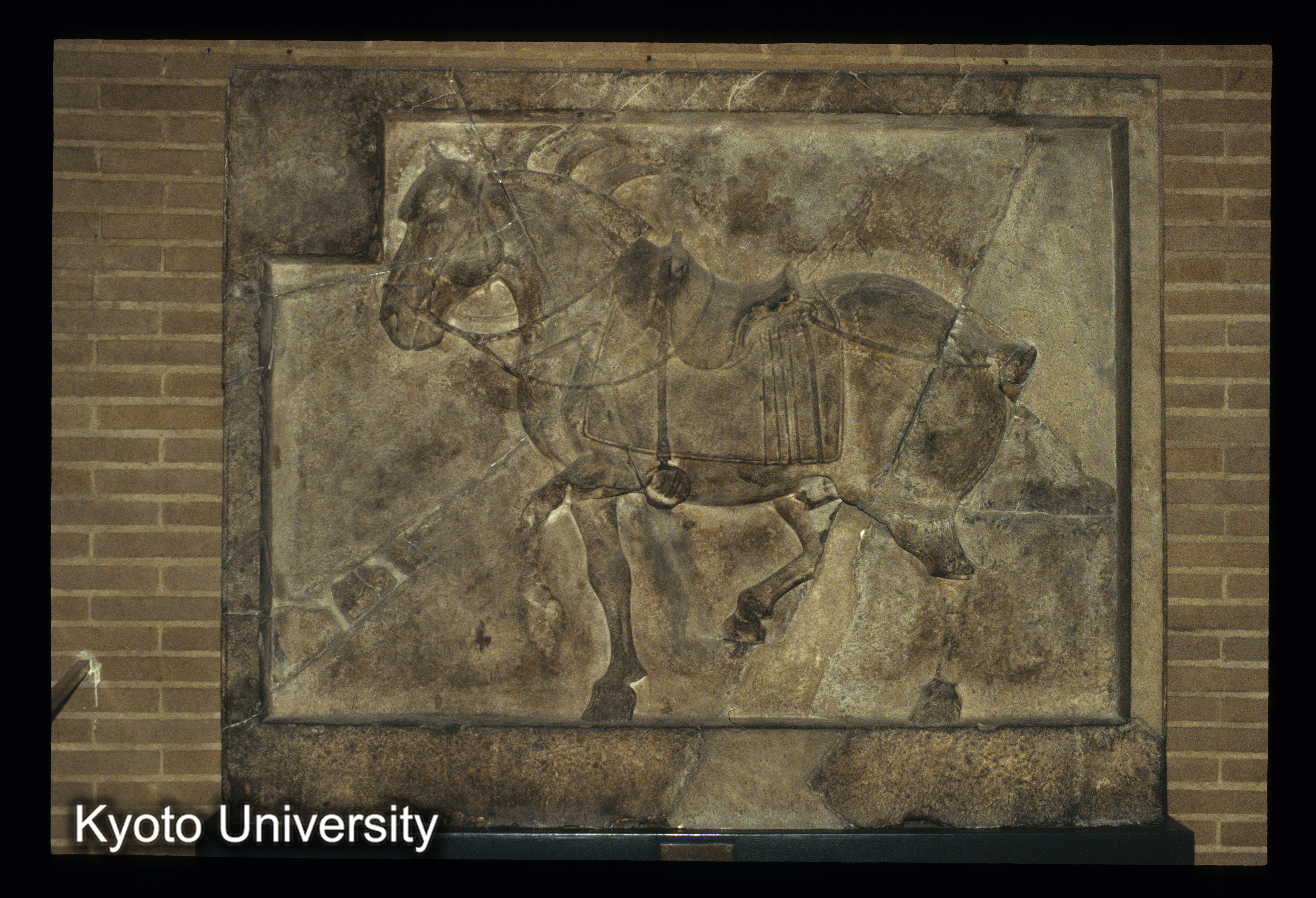 ［スライド］ (1)