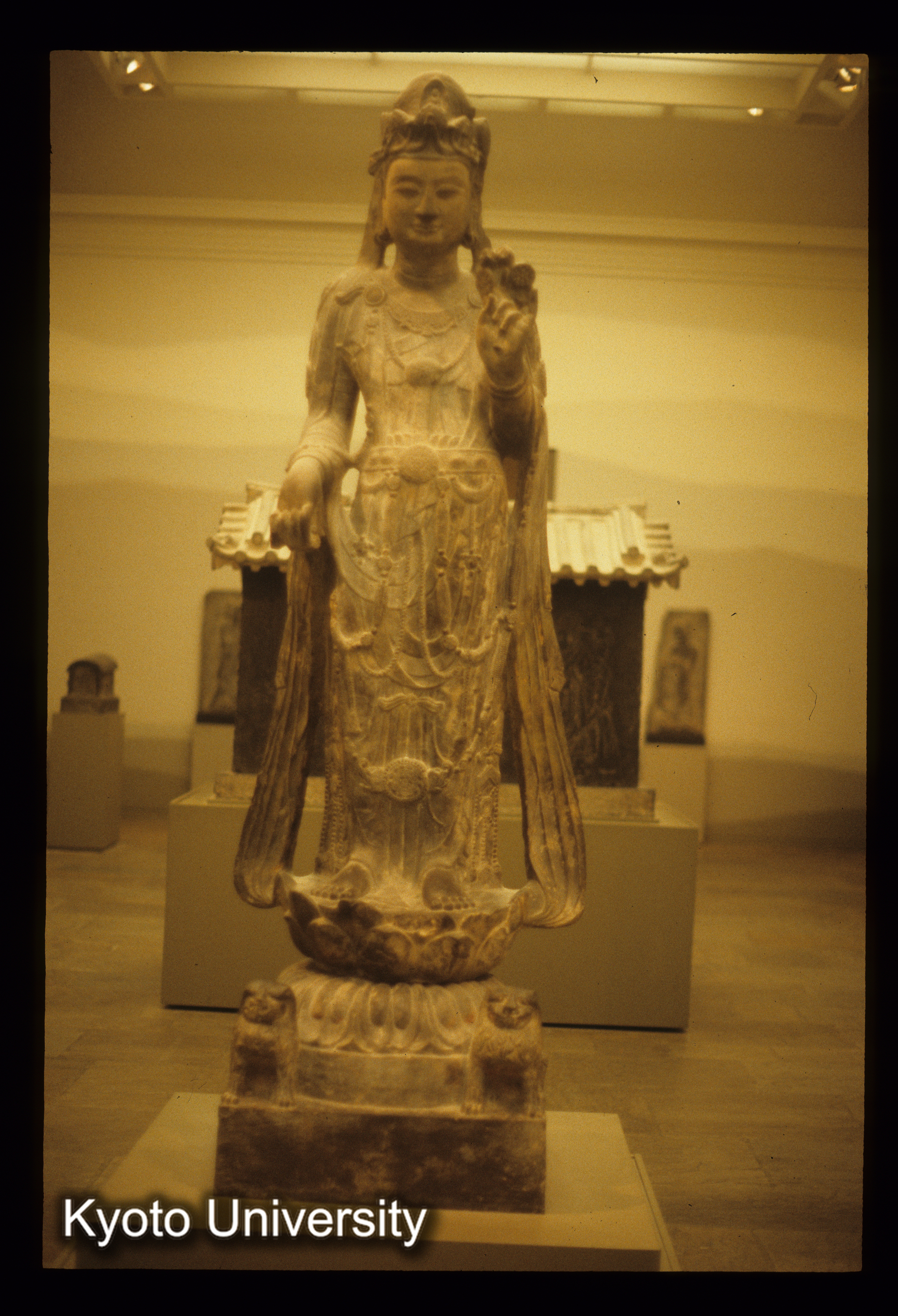 ［スライド］ (1)