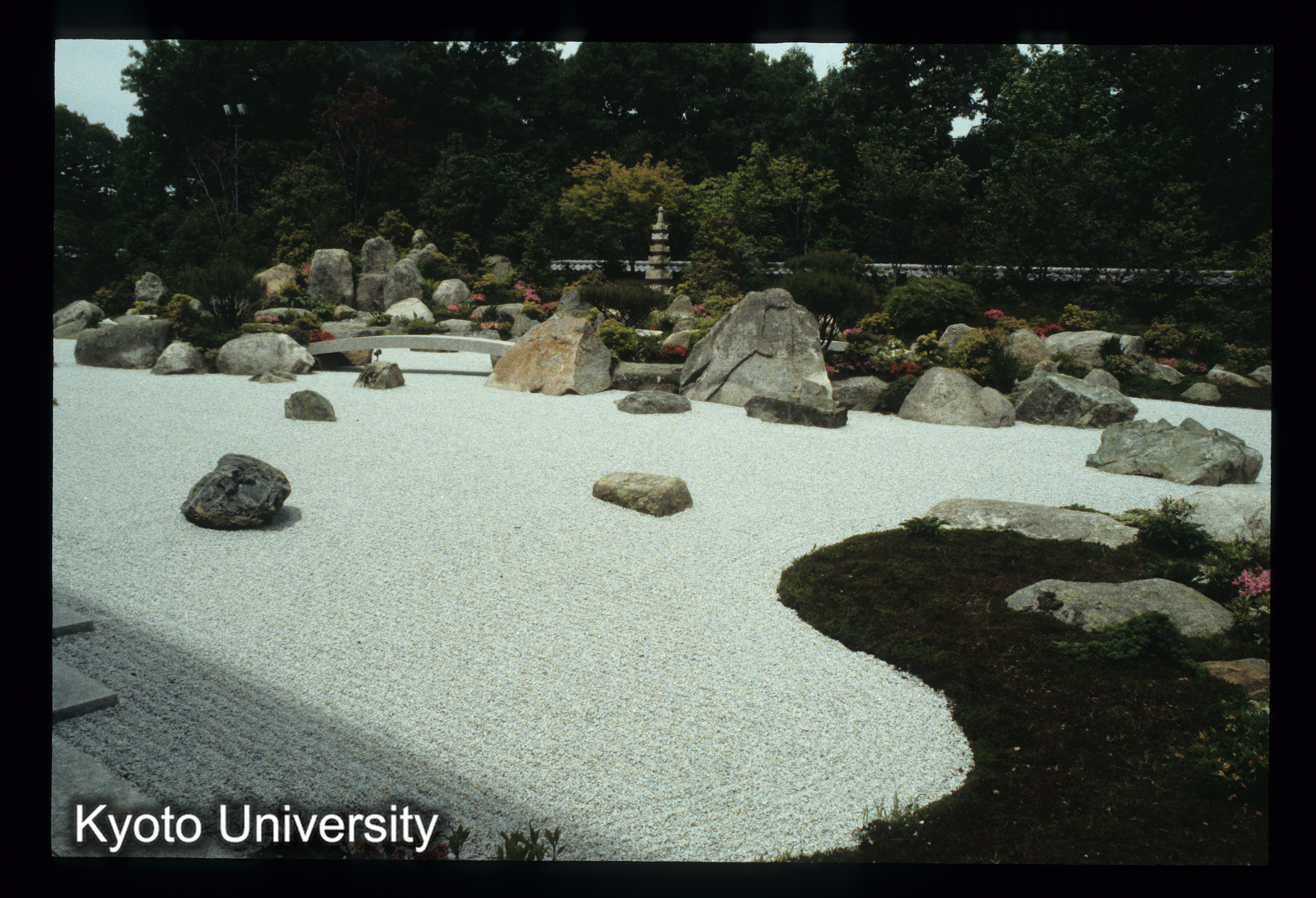 天心園（中根金作） Boston M. (1)