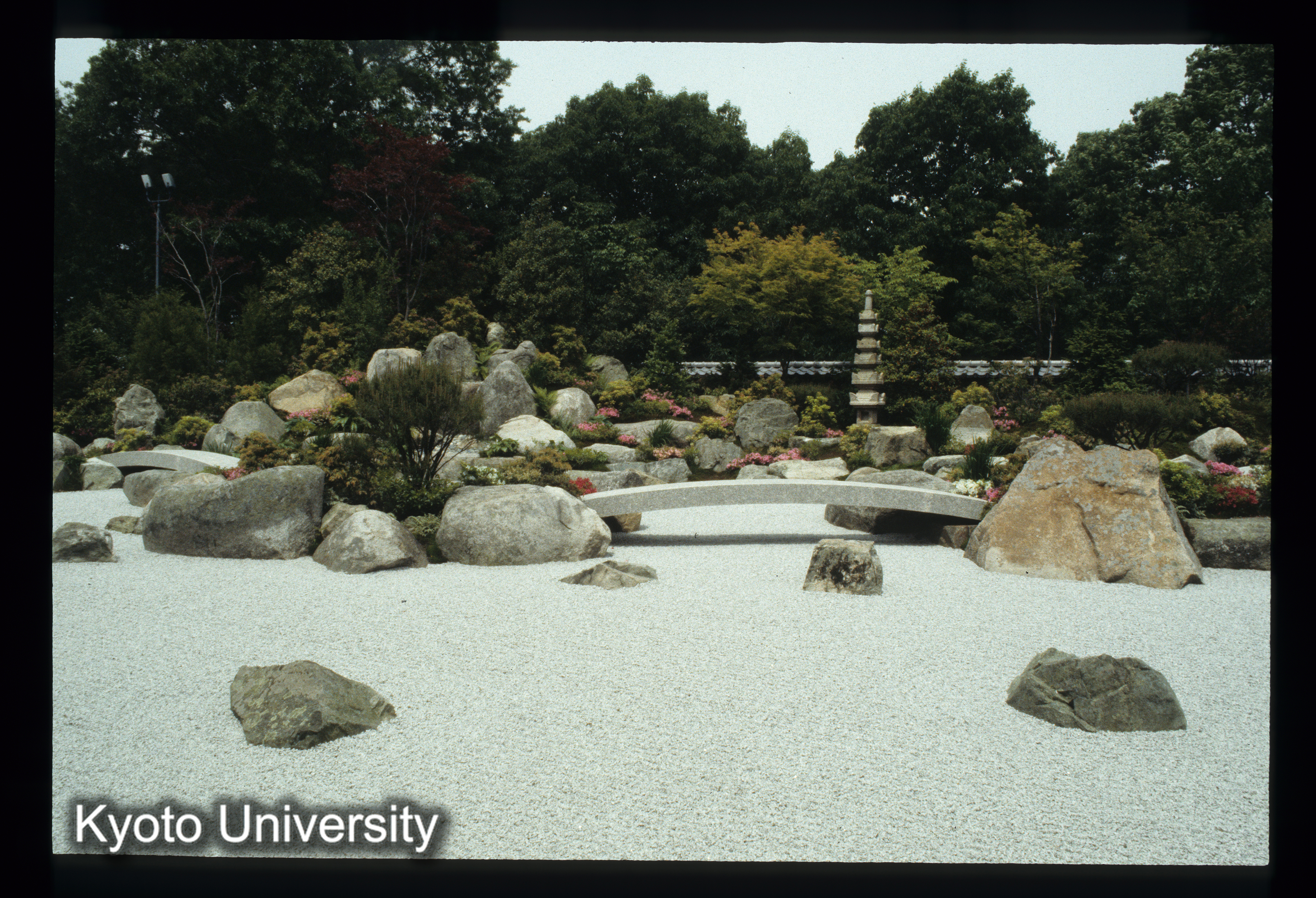 ［スライド］ (1)