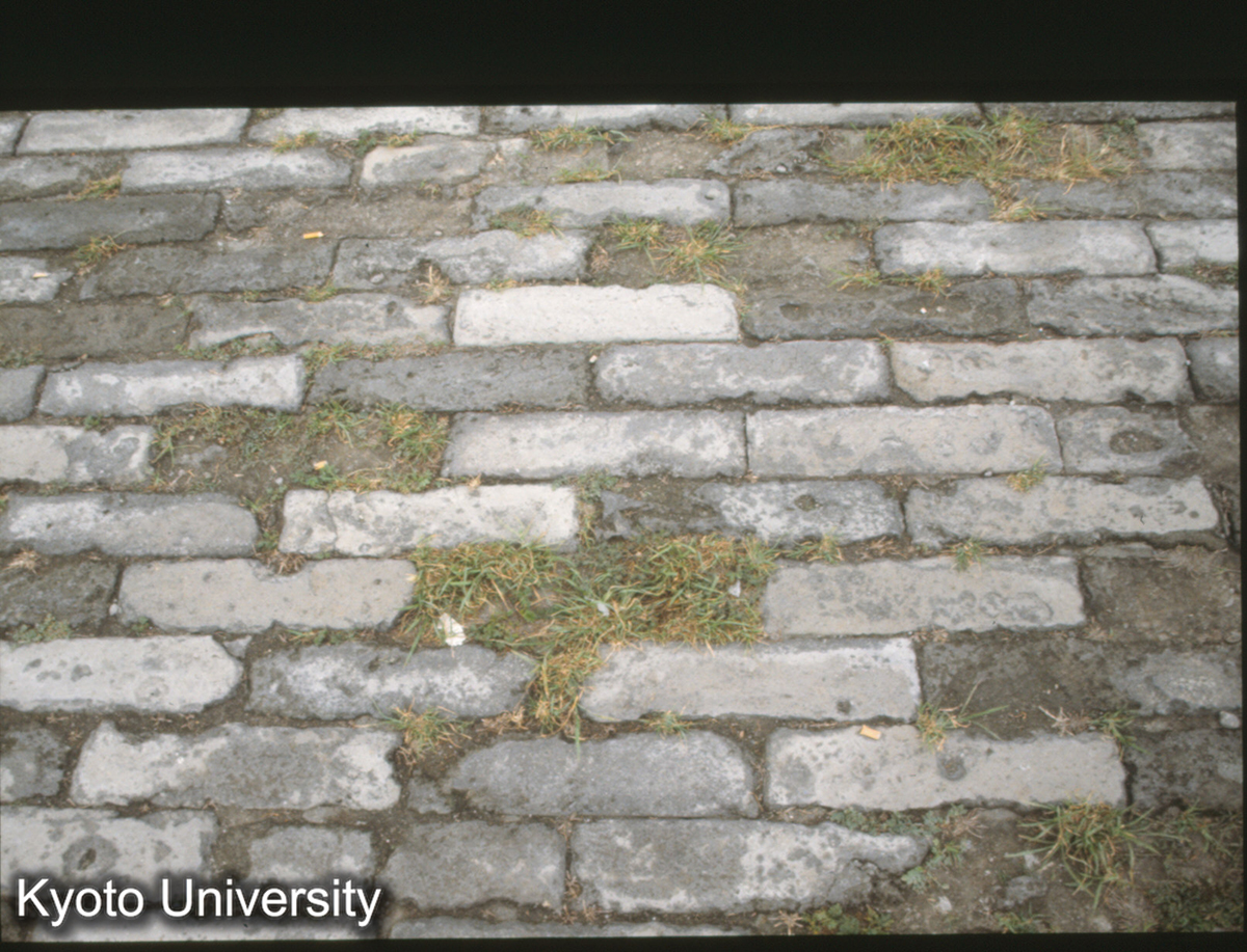 57_故宮太和殿　前庭　鋪地塼 (1)