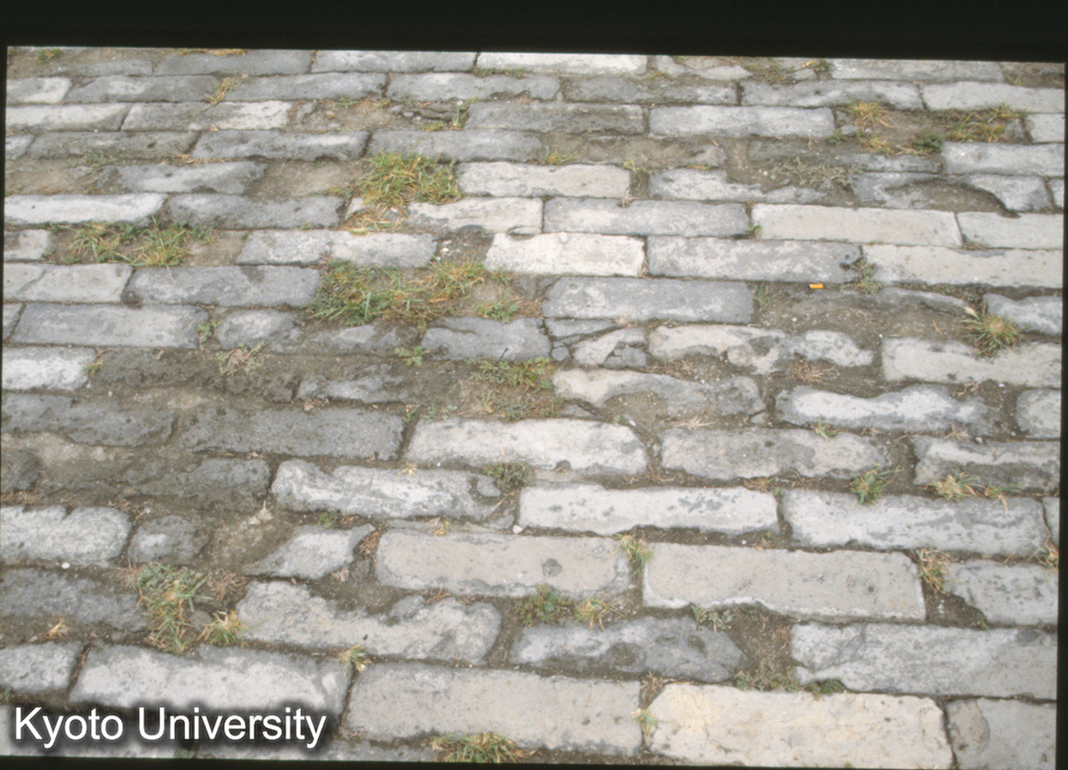 58_太和殿　前庭　鋪地塼 (1)