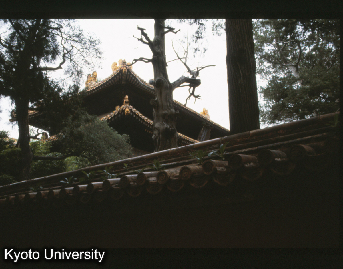 158_欽安殿　盝頂 (1)