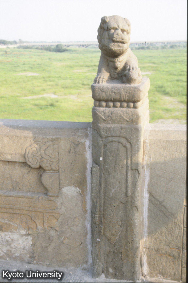 495_盧溝橋 望柱 (1)