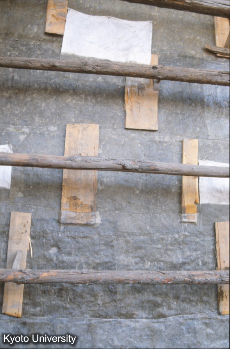 766_上華厳寺大雄宝殿 後墻（壁画抑え） (1)