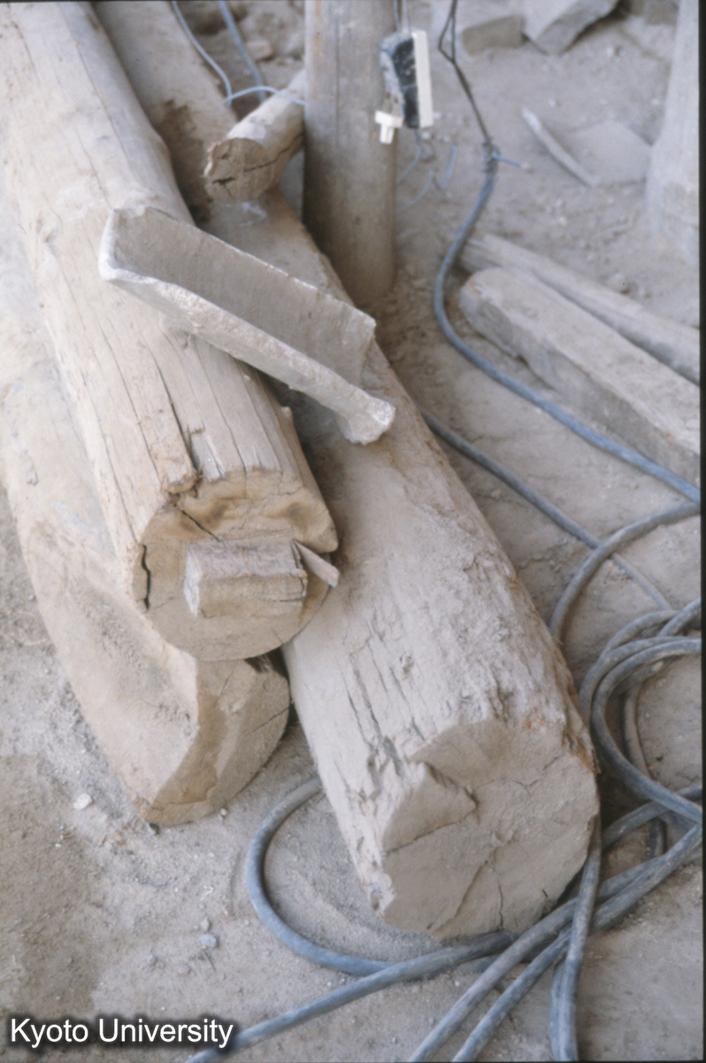 780_当初斜柱（筋違）・間柱 上華厳寺大雄宝殿 (1)