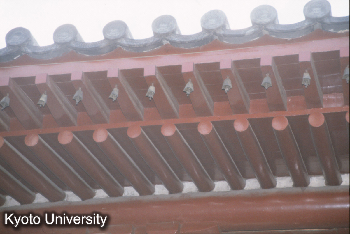 798_下華厳寺薄伽教蔵殿 飛椽、椽子とも換新 (1)