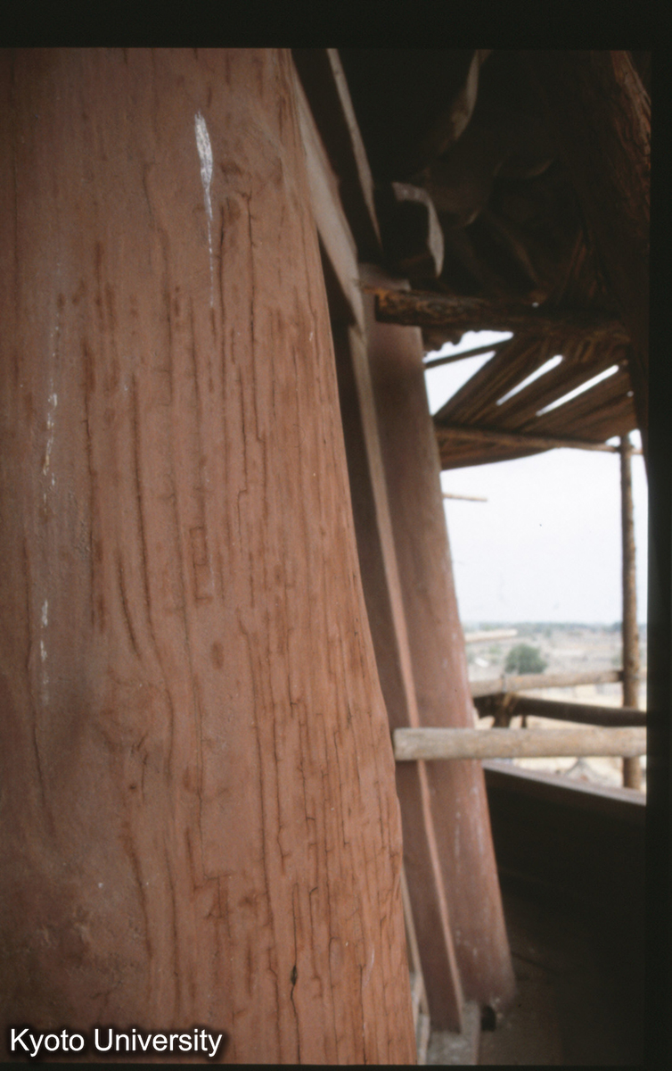 996_傾斜最大 (1)