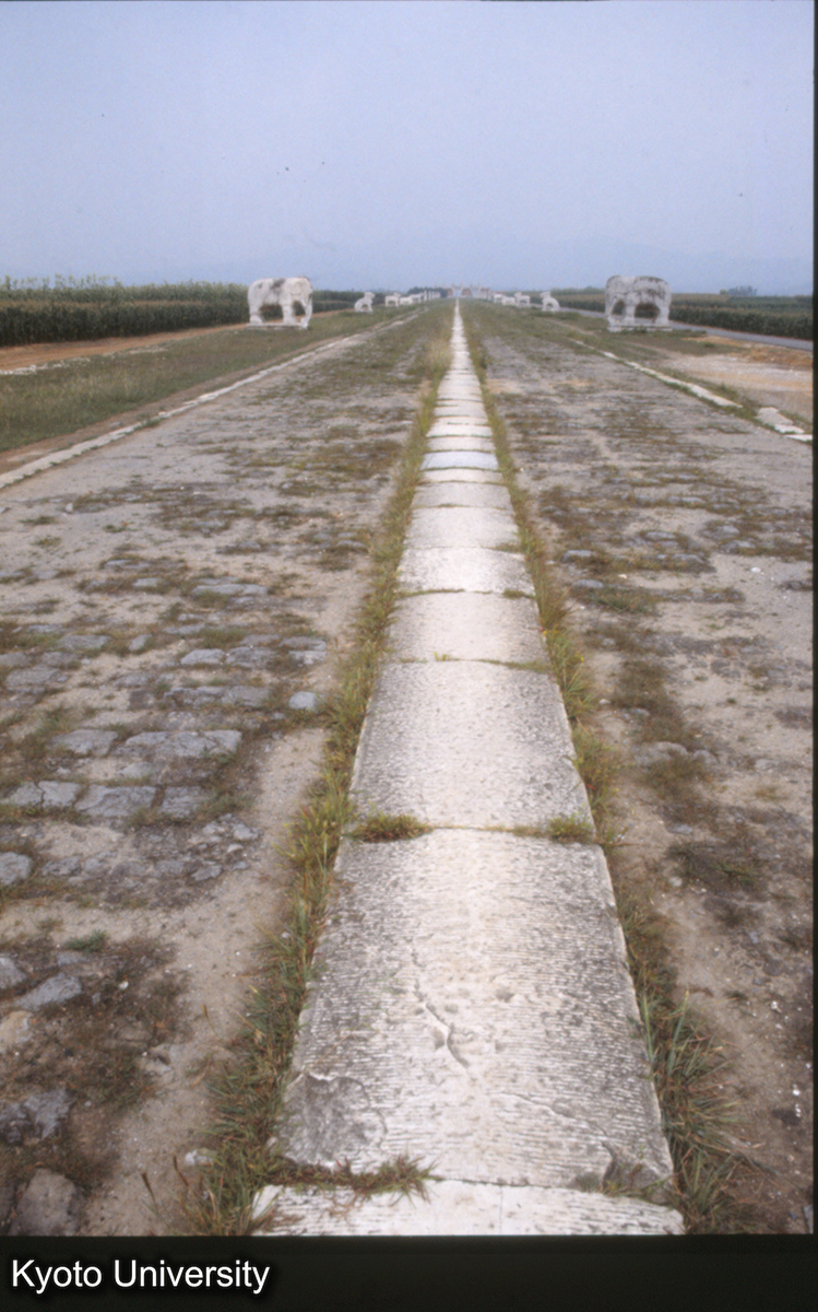 1764_清東陵 神道 石塼 (1)