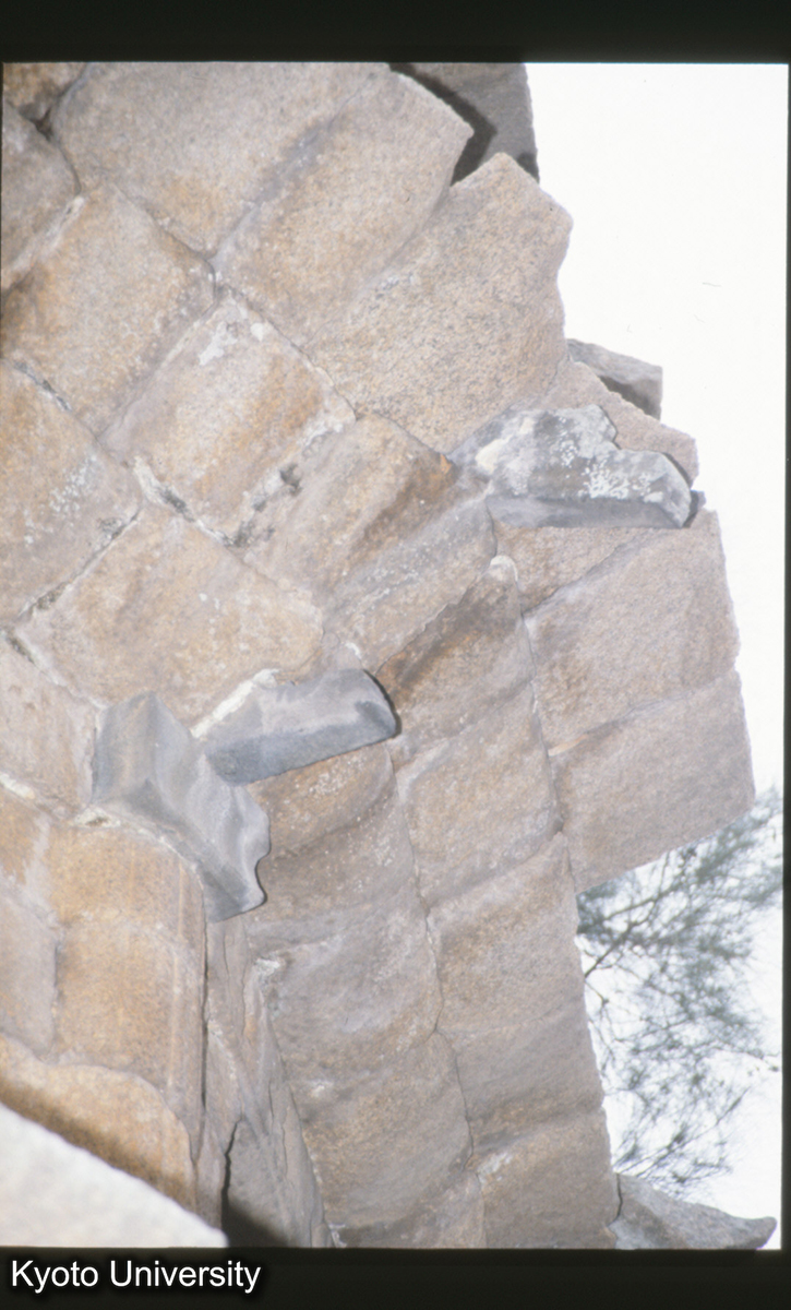 882_福清 水南塔 (1)